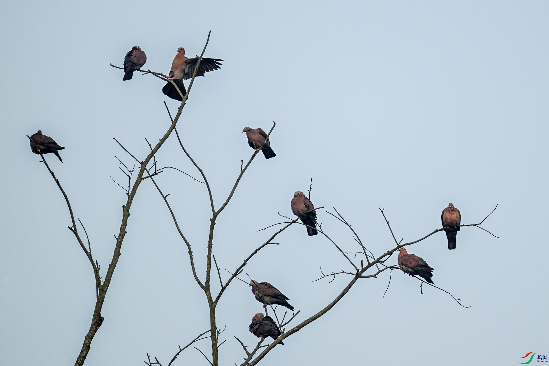 DSC_6031.JPG