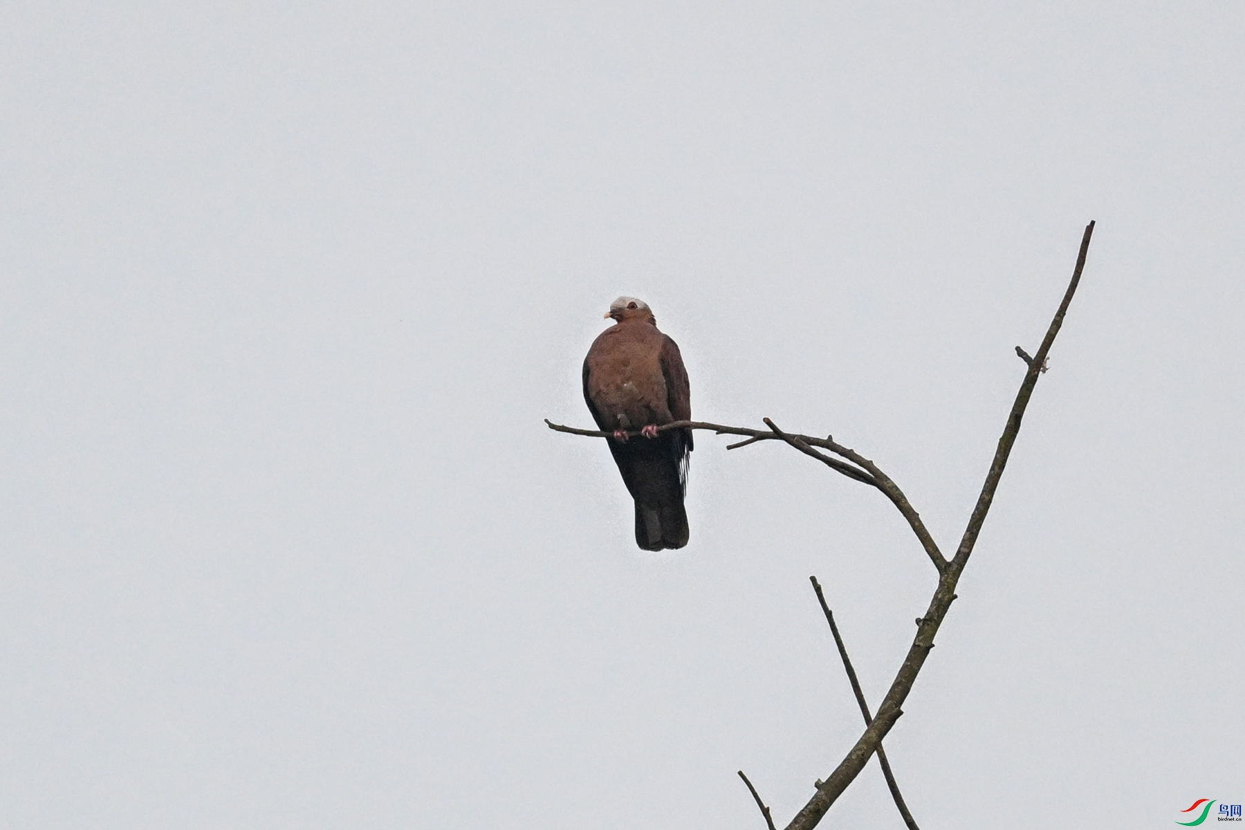 DSC_5997.JPG