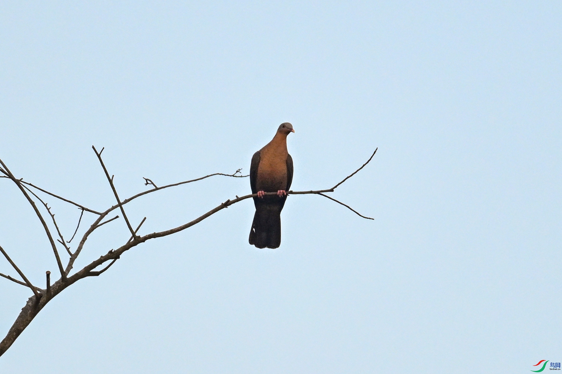DSC_6005.JPG