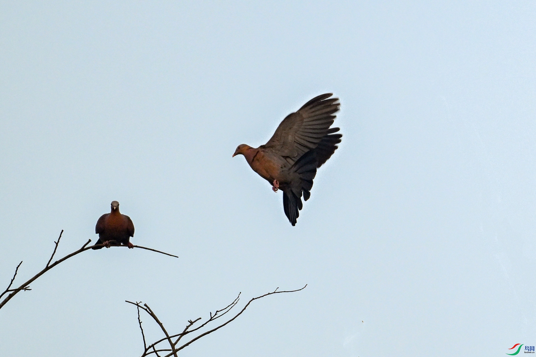 DSC_6006.JPG