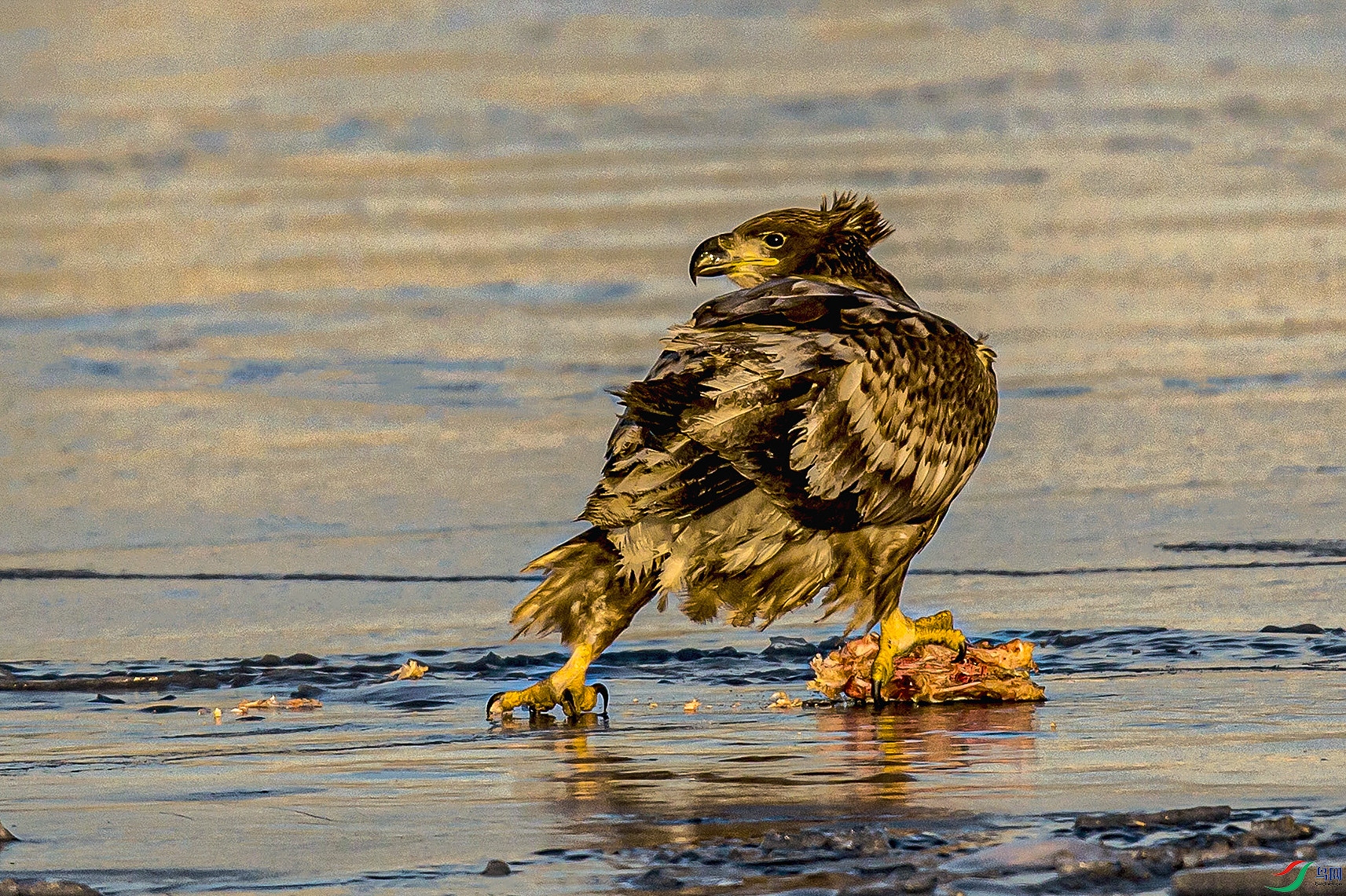 _MG_1511 ���� 2.jpg