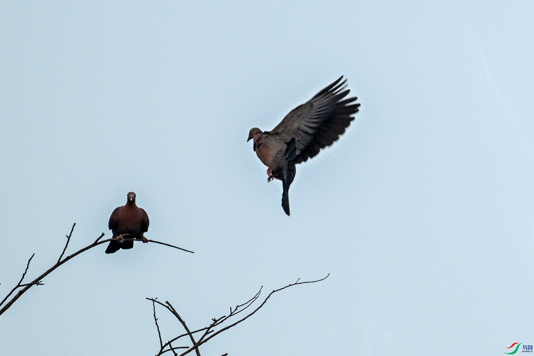 DSC_6008.JPG