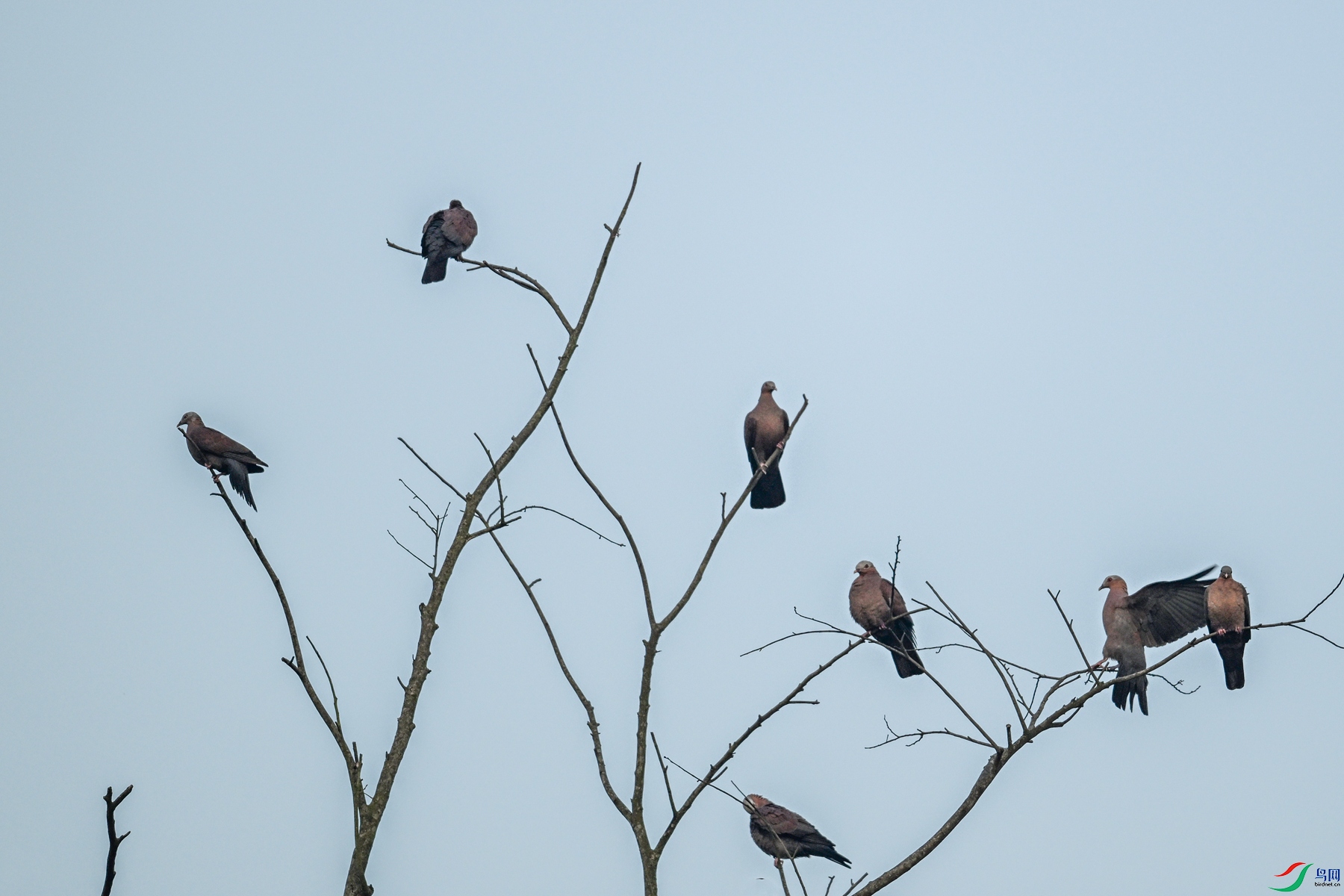 DSC_6025.JPG
