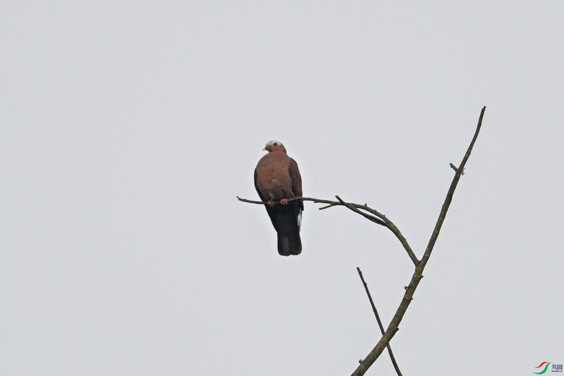 DSC_5999.JPG