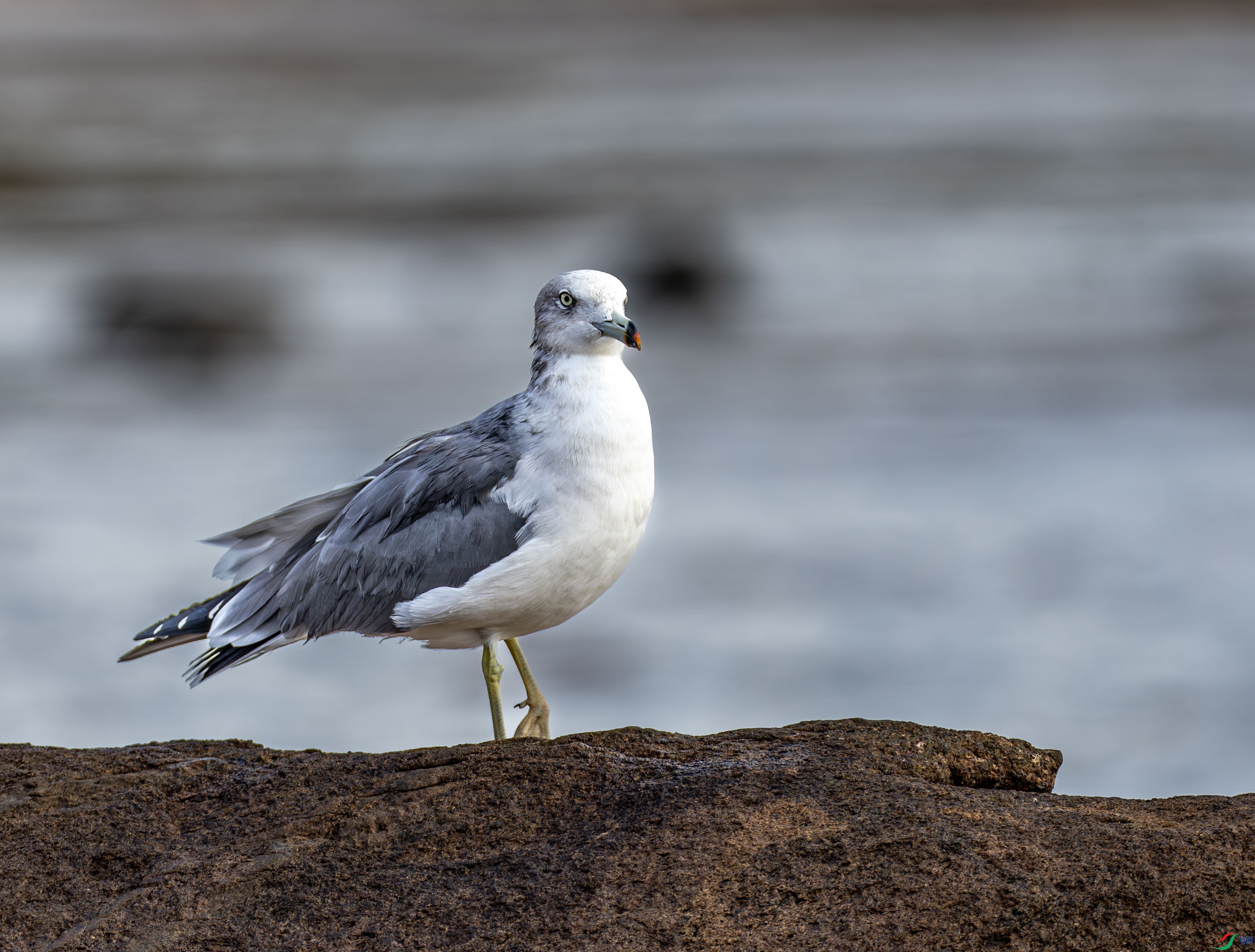 ��βŸ -02-12.jpg