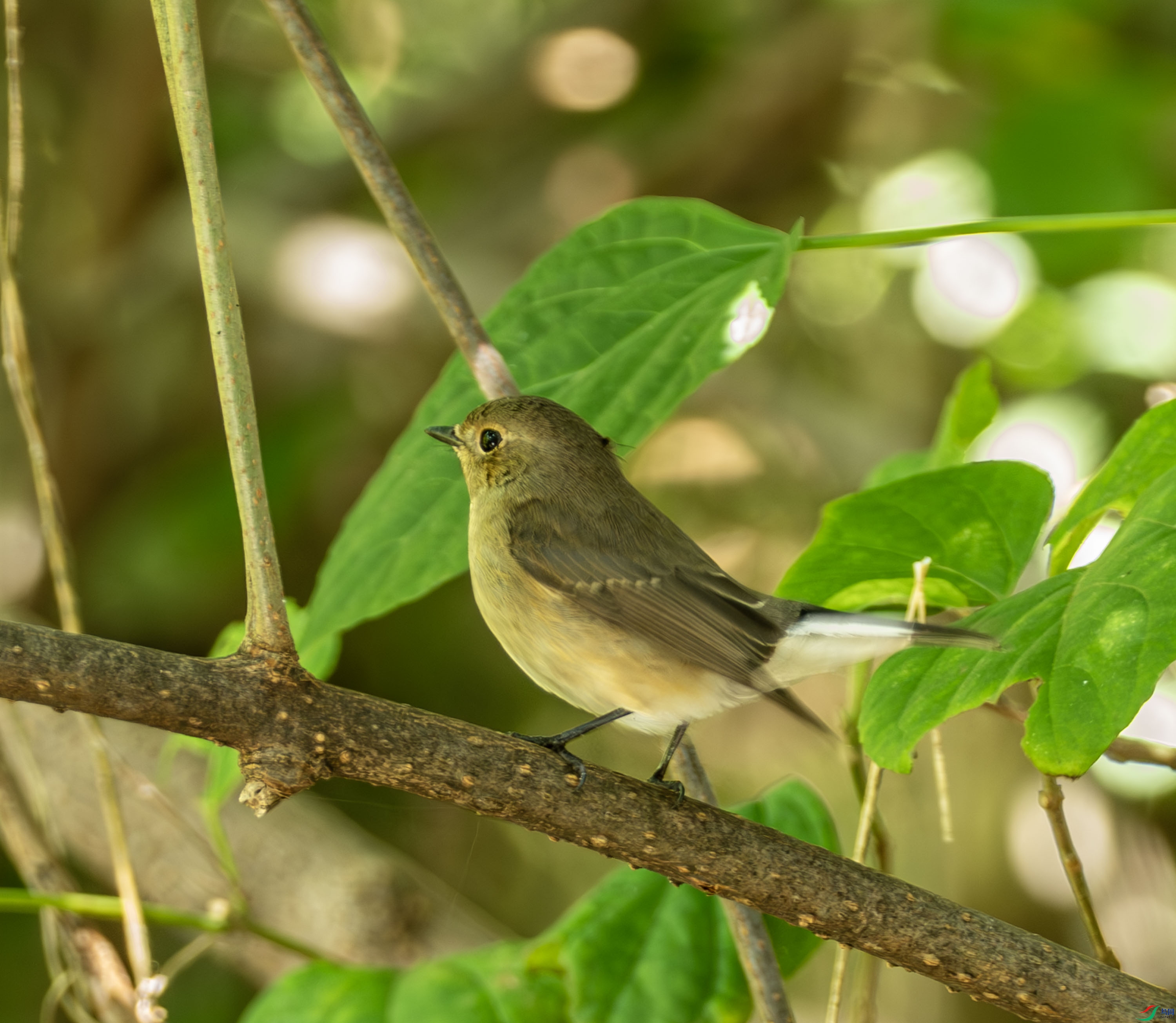 ������l-9.jpg