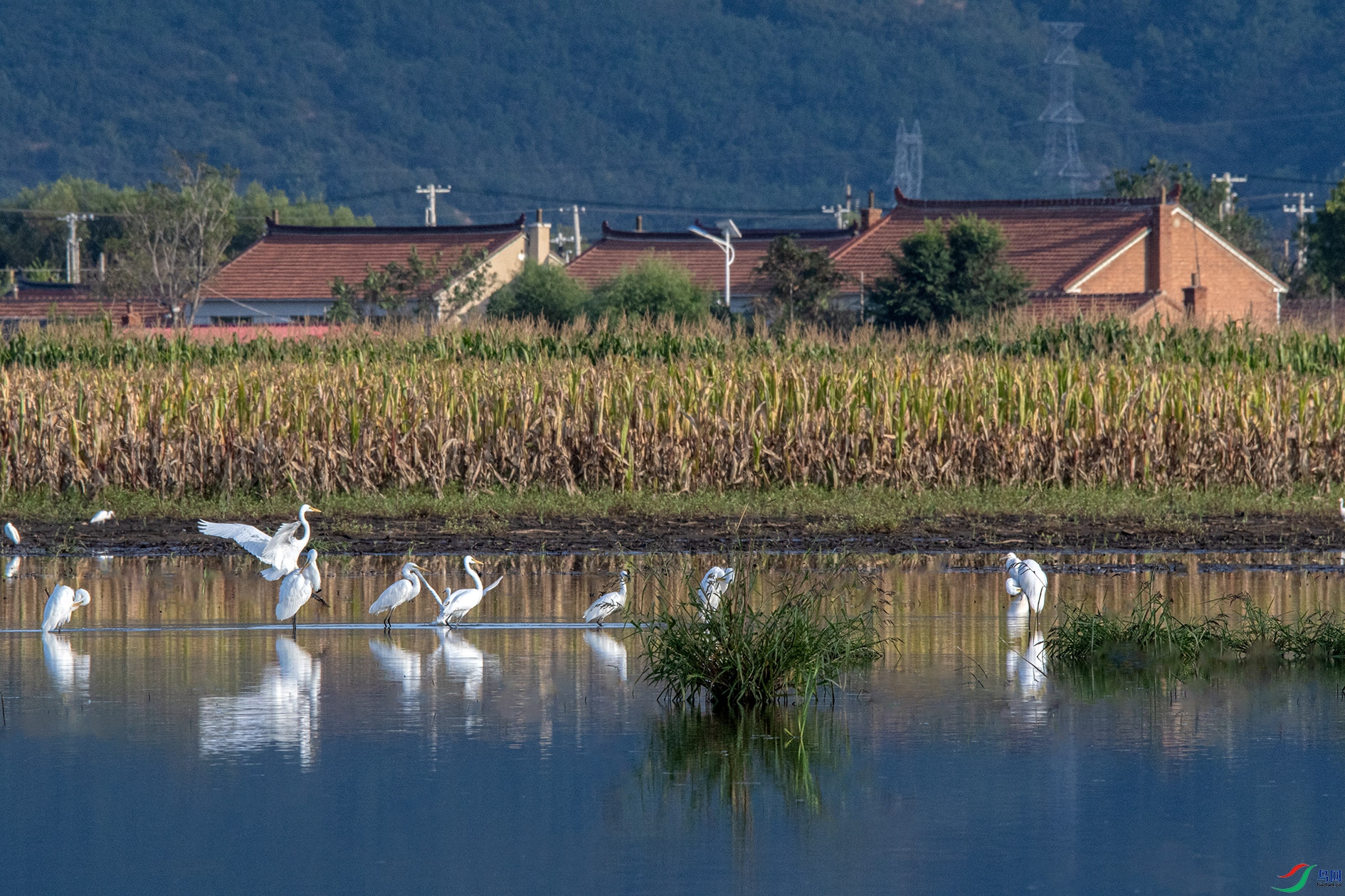 _DSC8418 ����.jpg