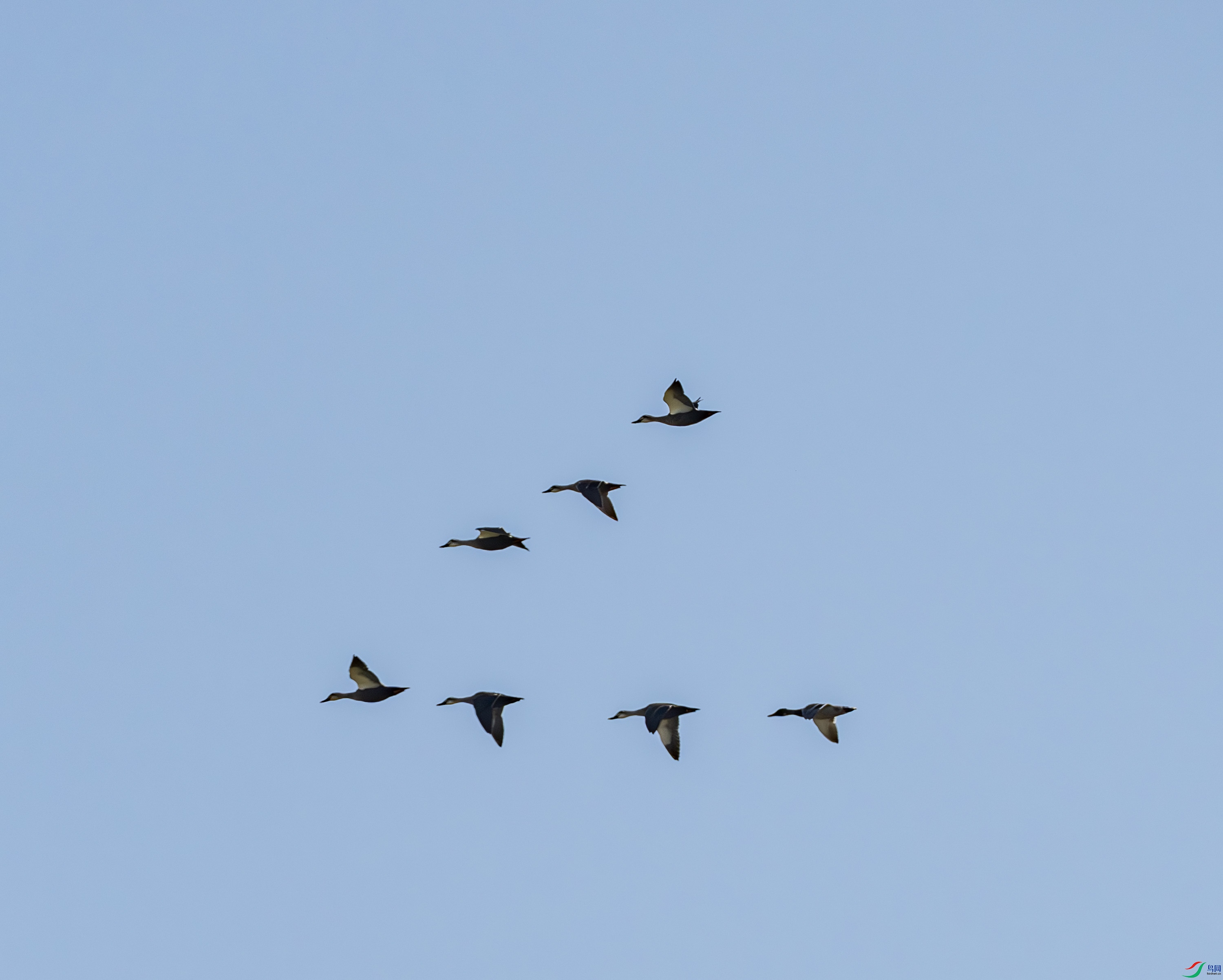 ����Ѽ-01-3 (2).jpg