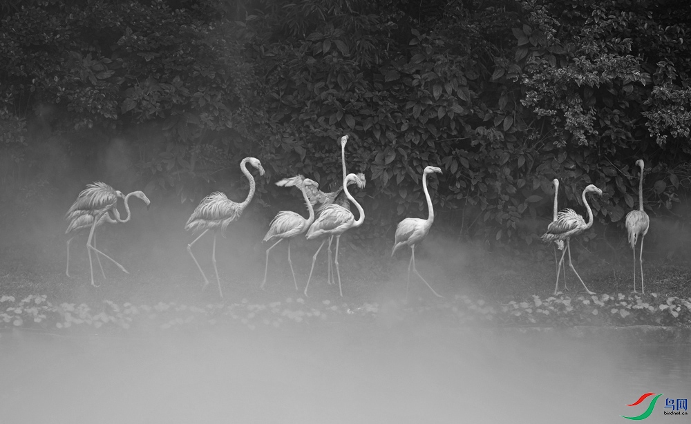 DSCF4818.1.jpg