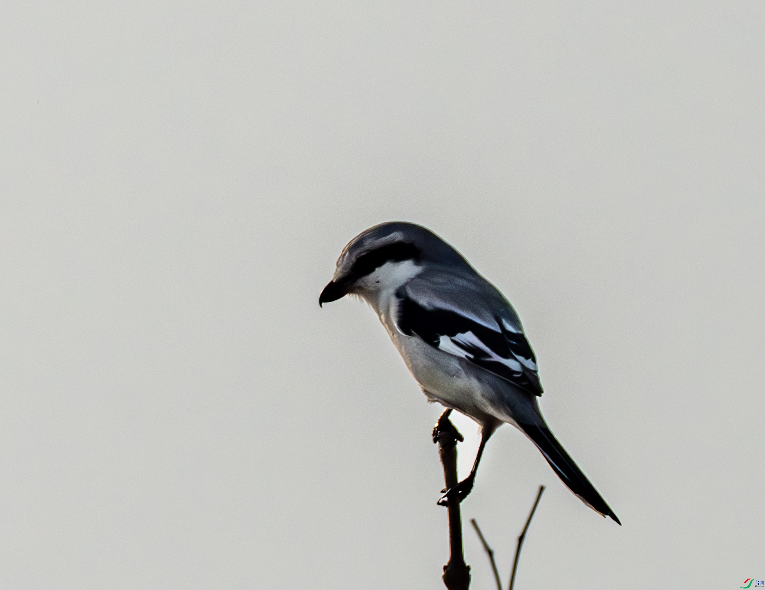 ��β����-01-5.jpg