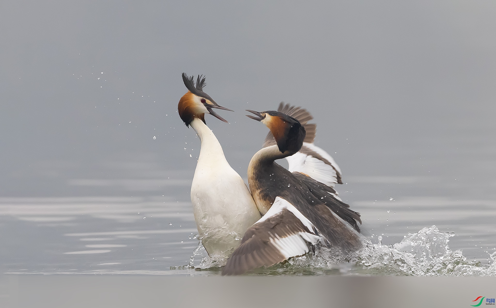 019A2146 ����2.jpg