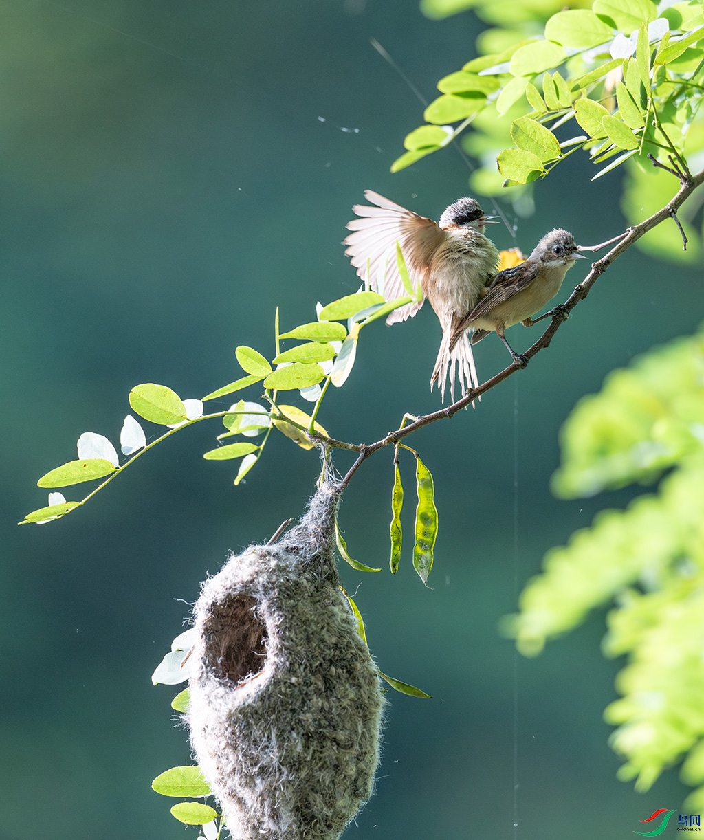 DSC_5647����ǿs.jpg