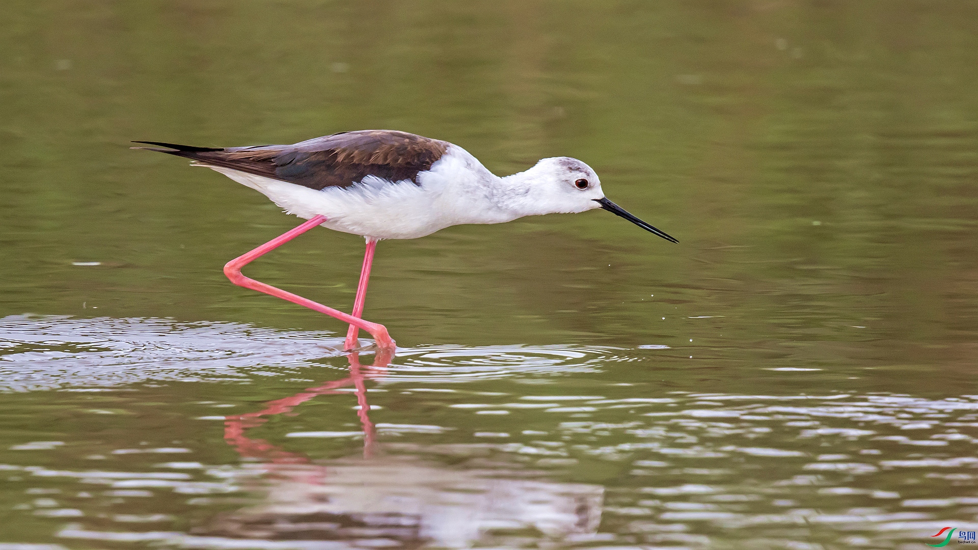 9B0A9483_��ͼ��_��ͼ�� ����_����.jpg