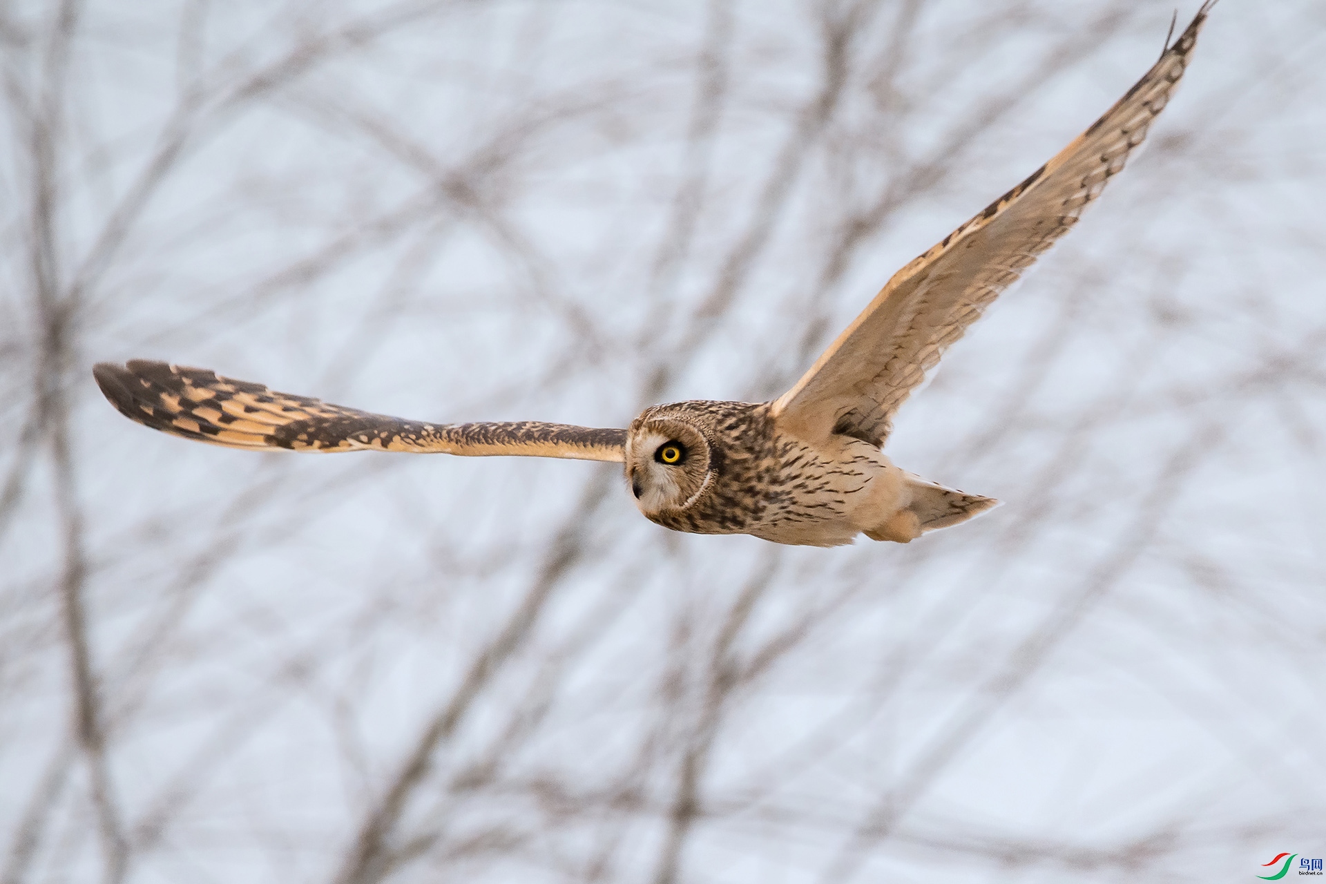 DSC_0870-20210302�ü� .jpg