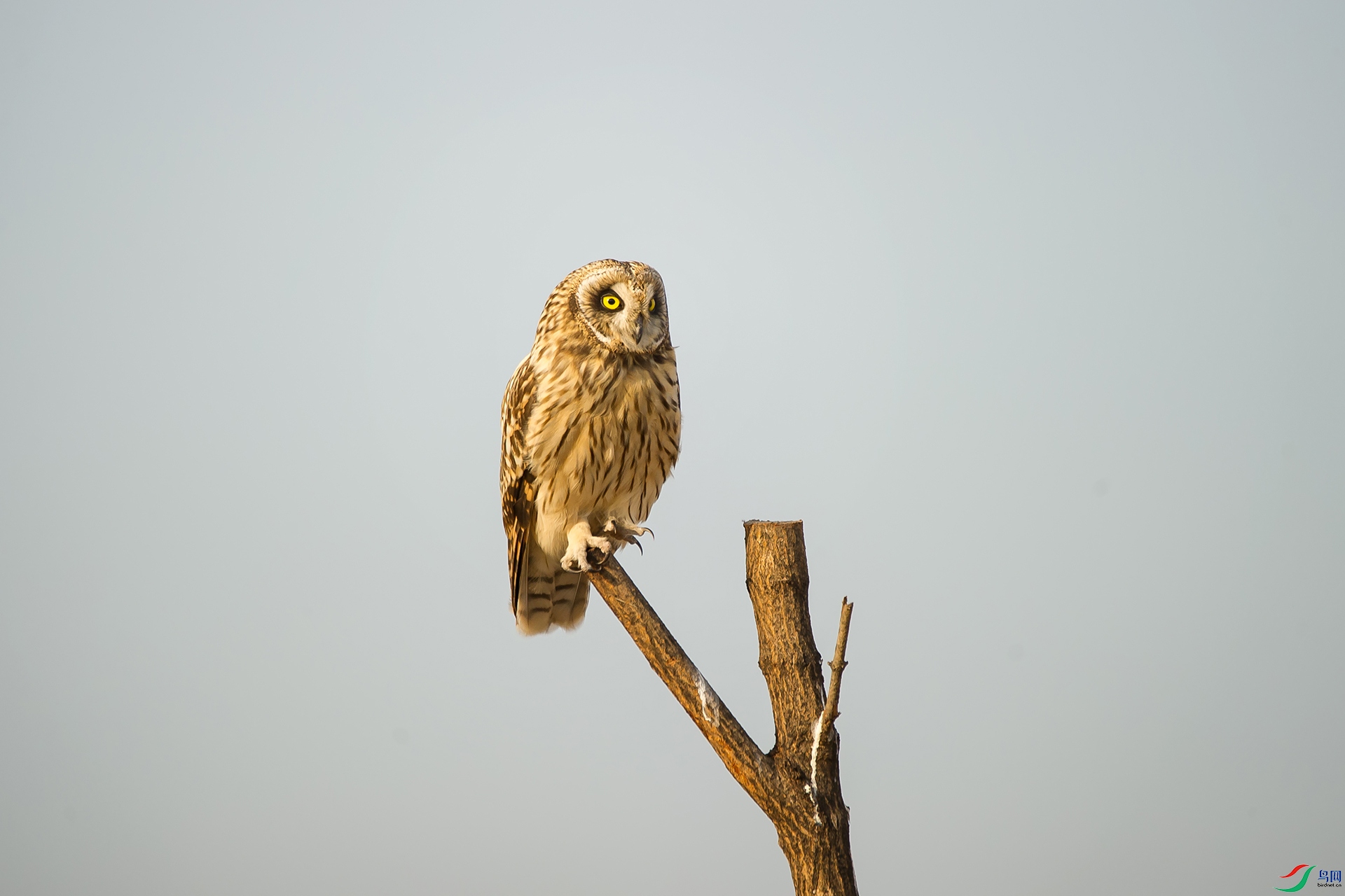 DSC_1019-20201221�ü�.jpg