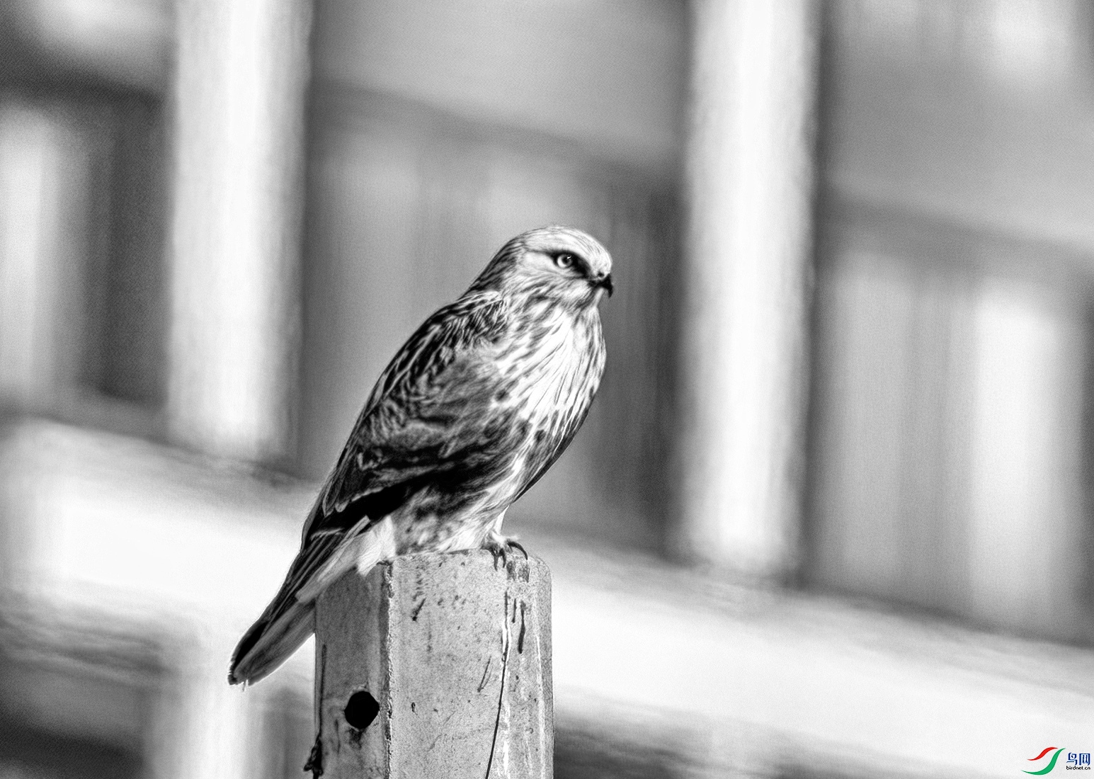 DSC07753 ����.jpg