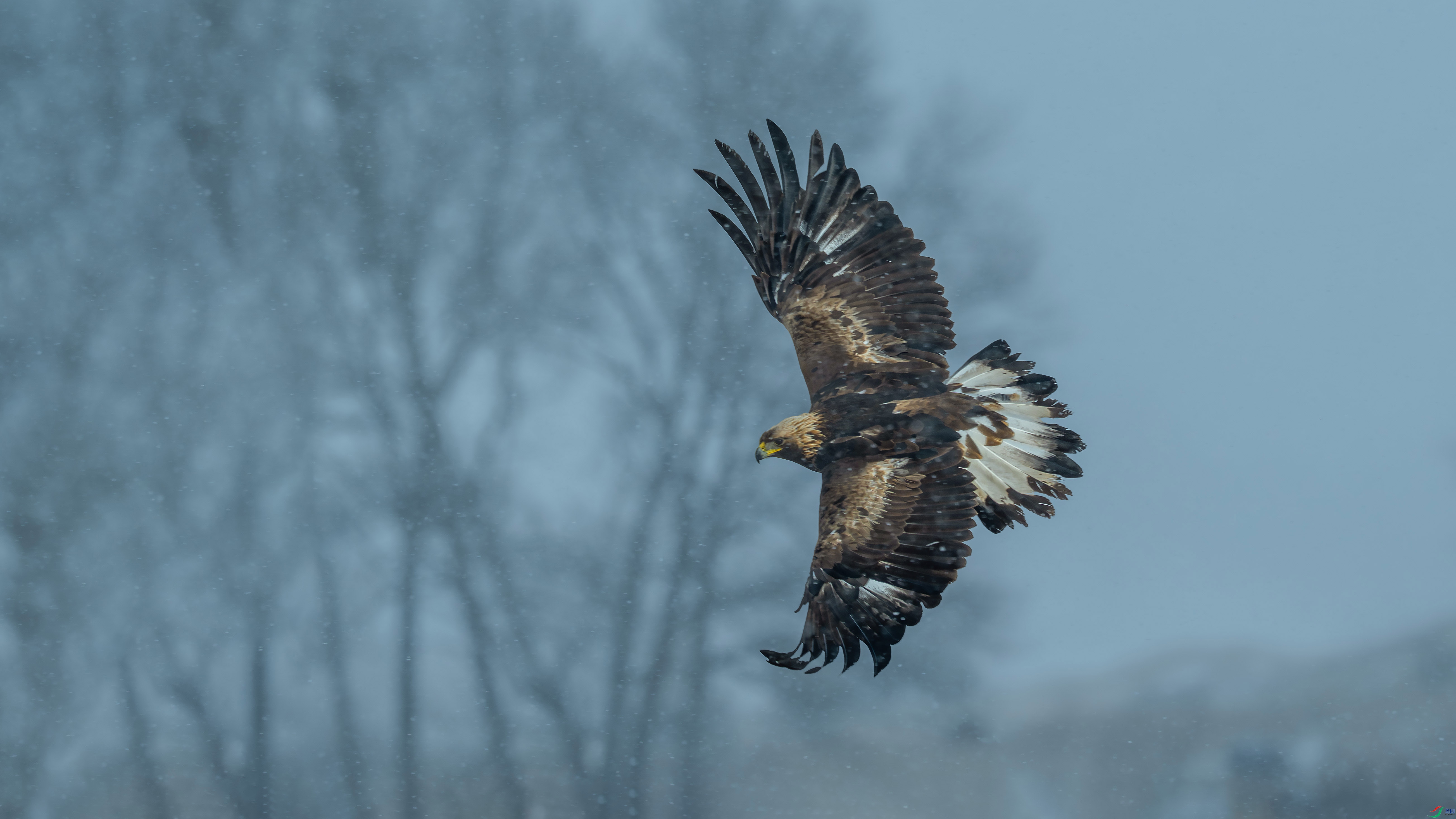 _DSC3197 ����11.jpg