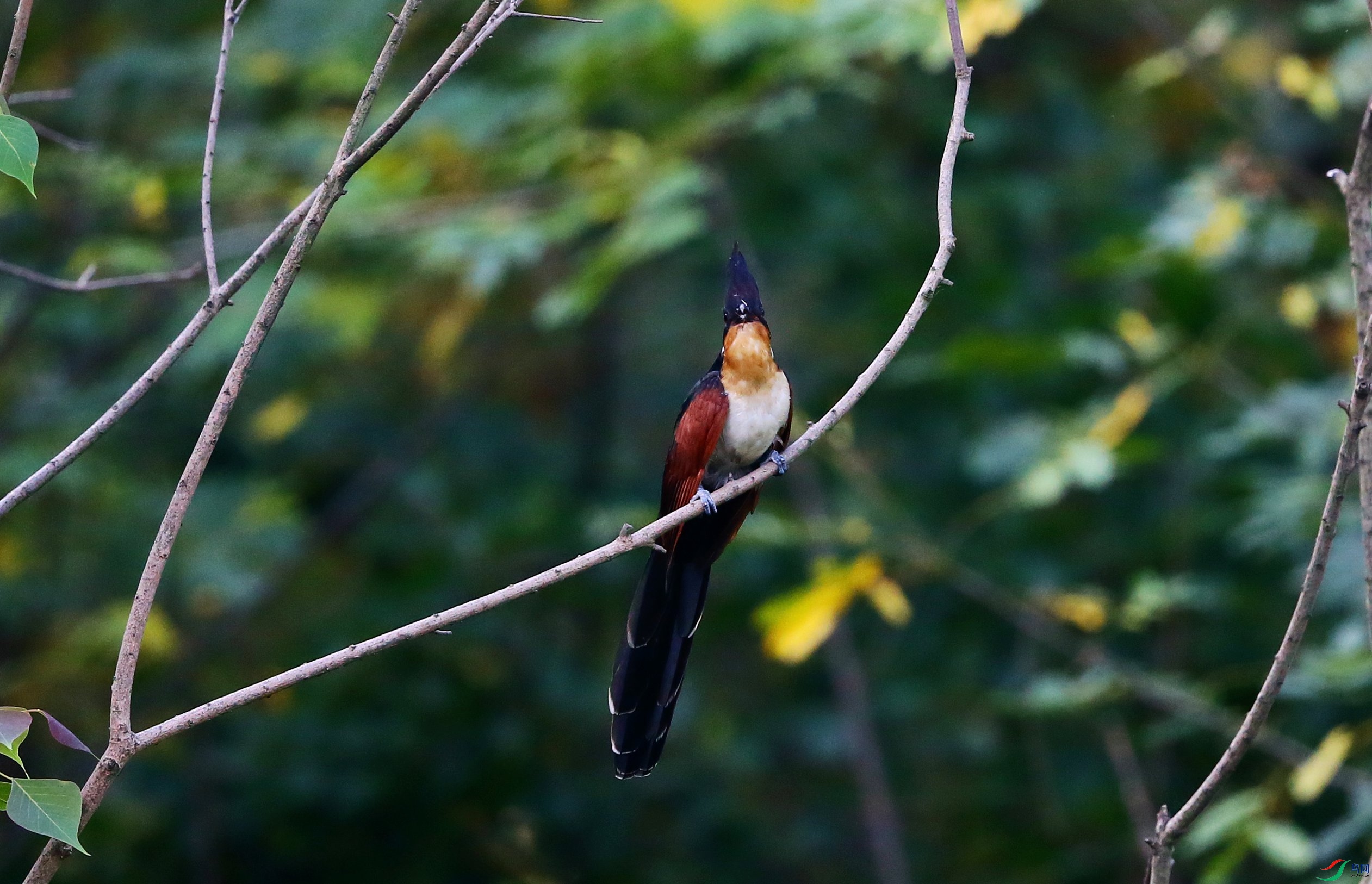 ����ͷ�� (29).JPG