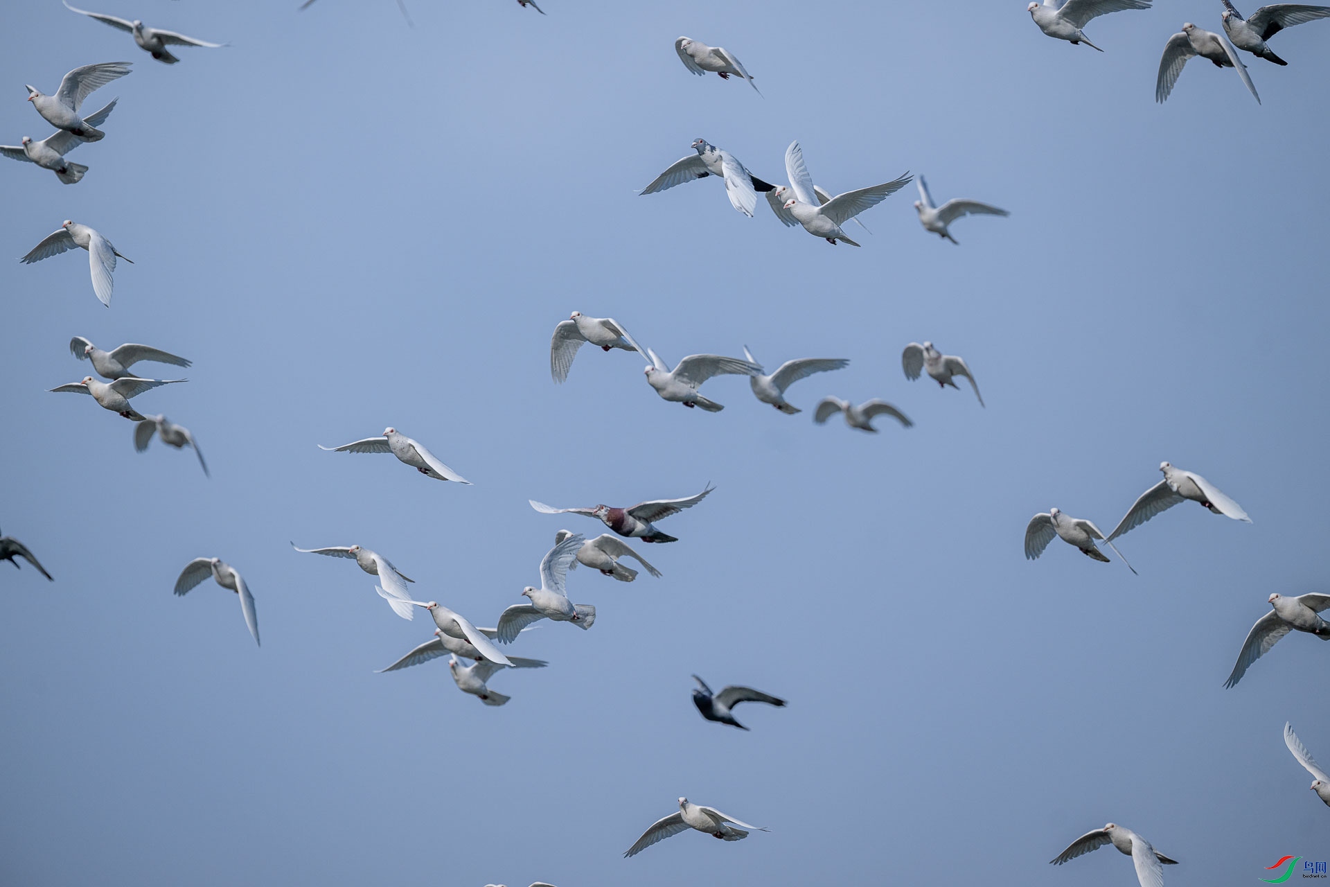 DSC_7717      _5.jpg