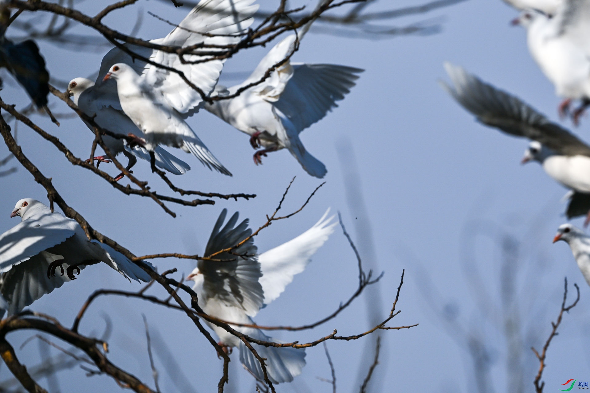 DSC_7633_1.jpg