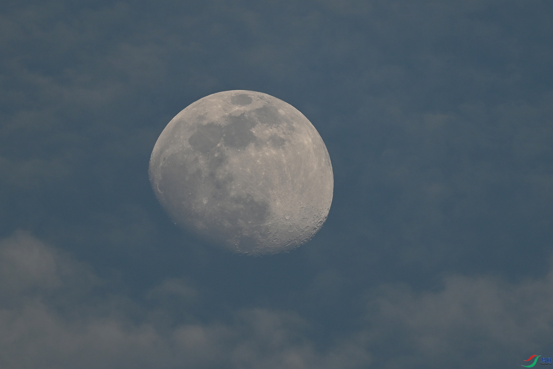 DSC_5986.JPG