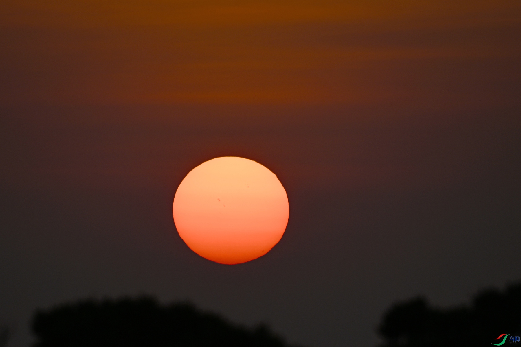 DSC_5991.JPG