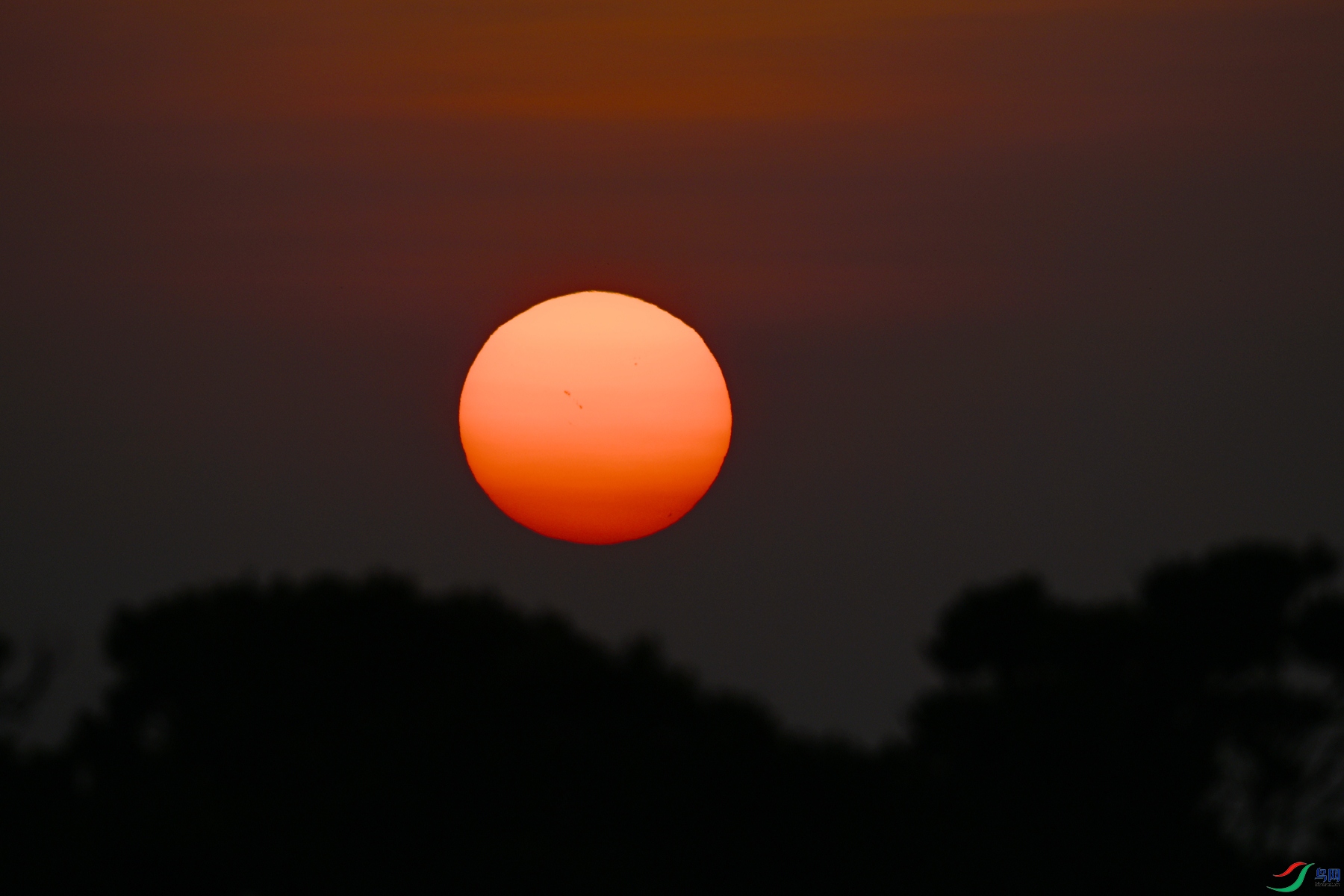 DSC_5993.JPG