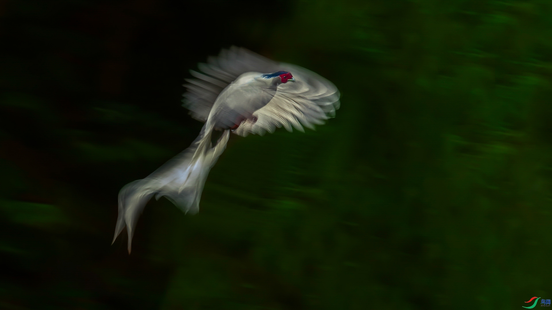 1.8 ��������ʦ��Ʒ  ����  �ٻ�2026��1��8����Ӱʦ��ҳ����.jpg