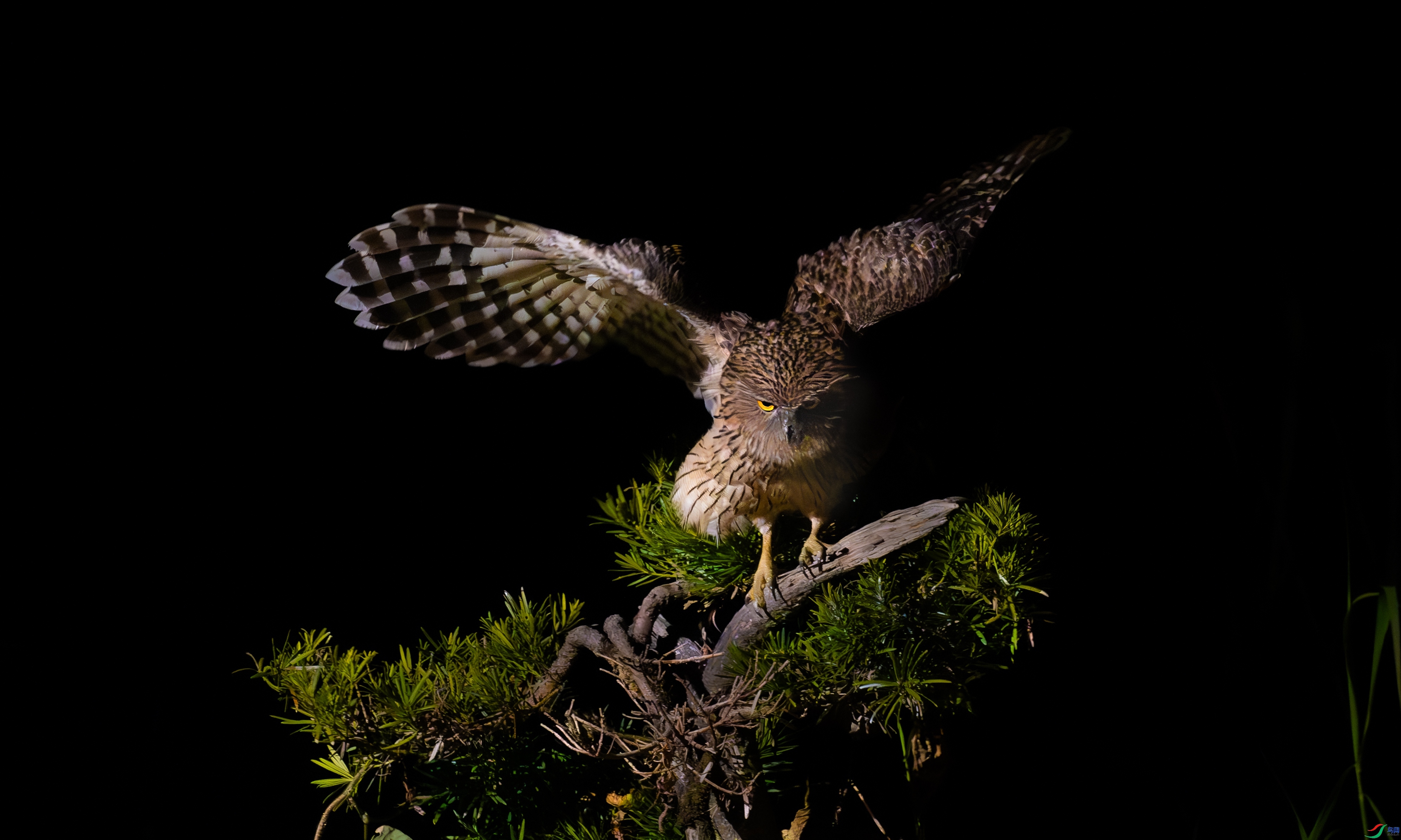 1.9 ��������bj��ʦ��Ʒ  ������Ӱ  �ٻ�2025��1��9�հ�����ҳ����.jpg