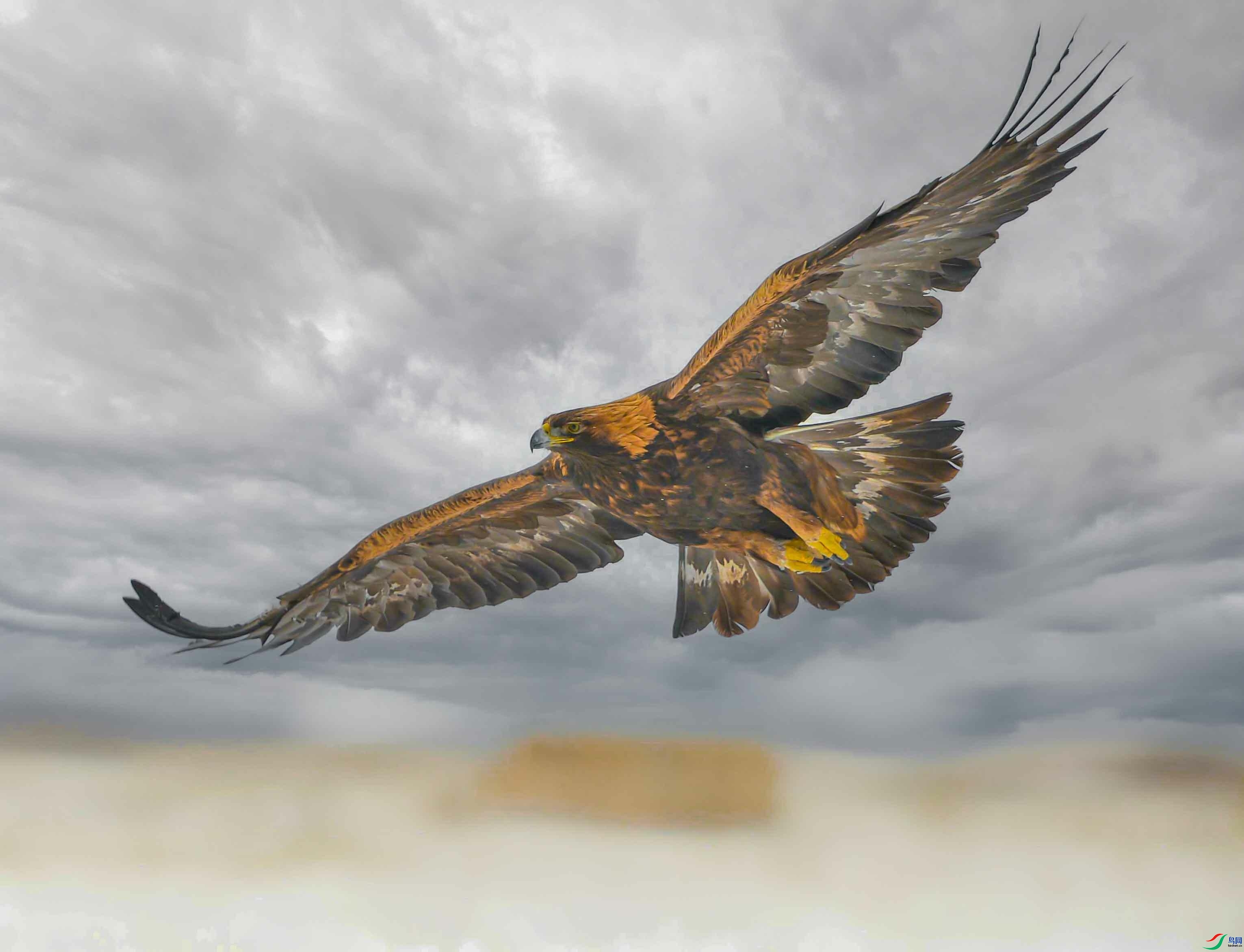 1.10 ��Ӱ������ʦ��Ʒ  ���  �ٻ�2026��1��10����Ӱʦ��ҳ����.jpg