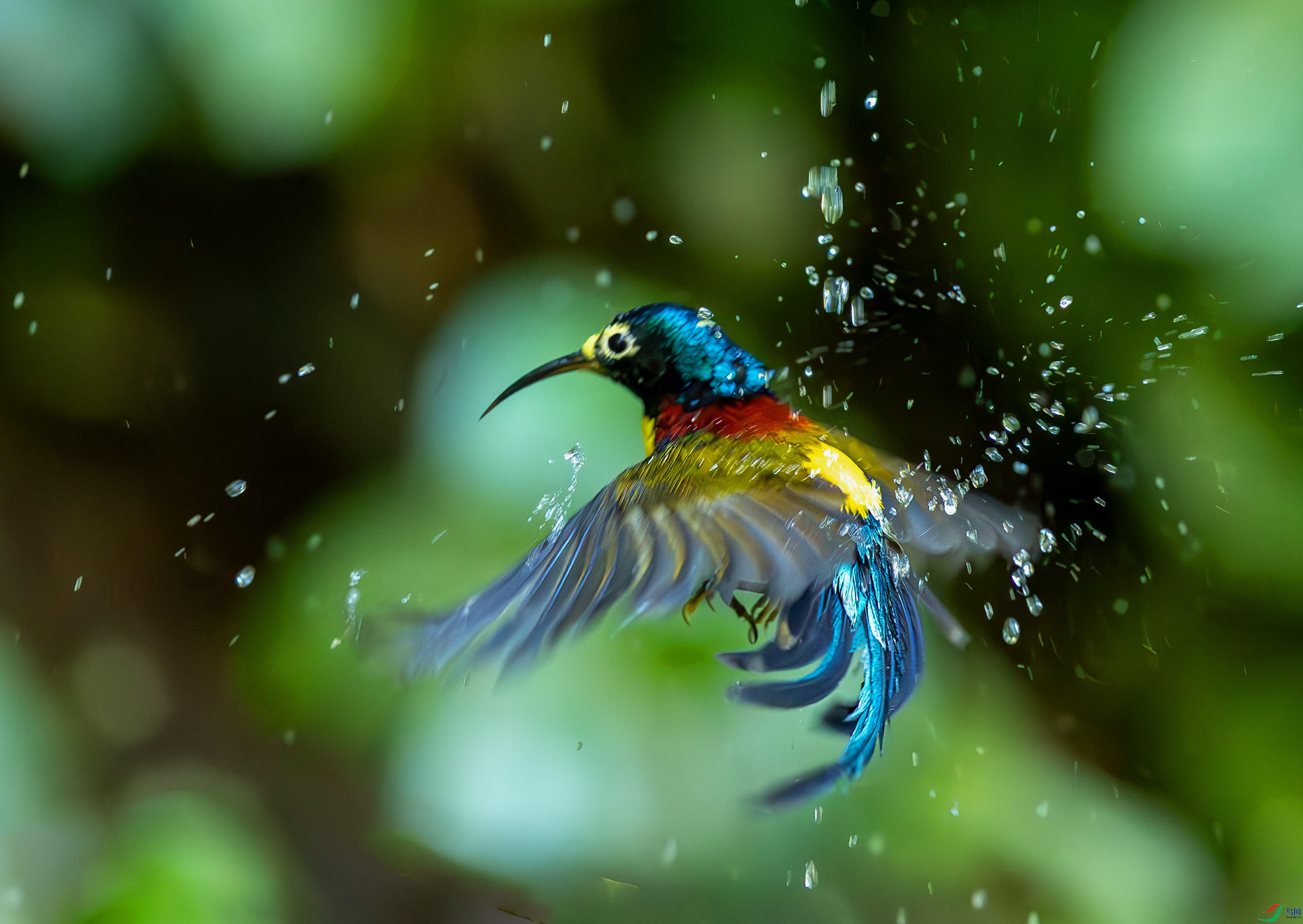 _72A3695-����ǿ-NR.JPG