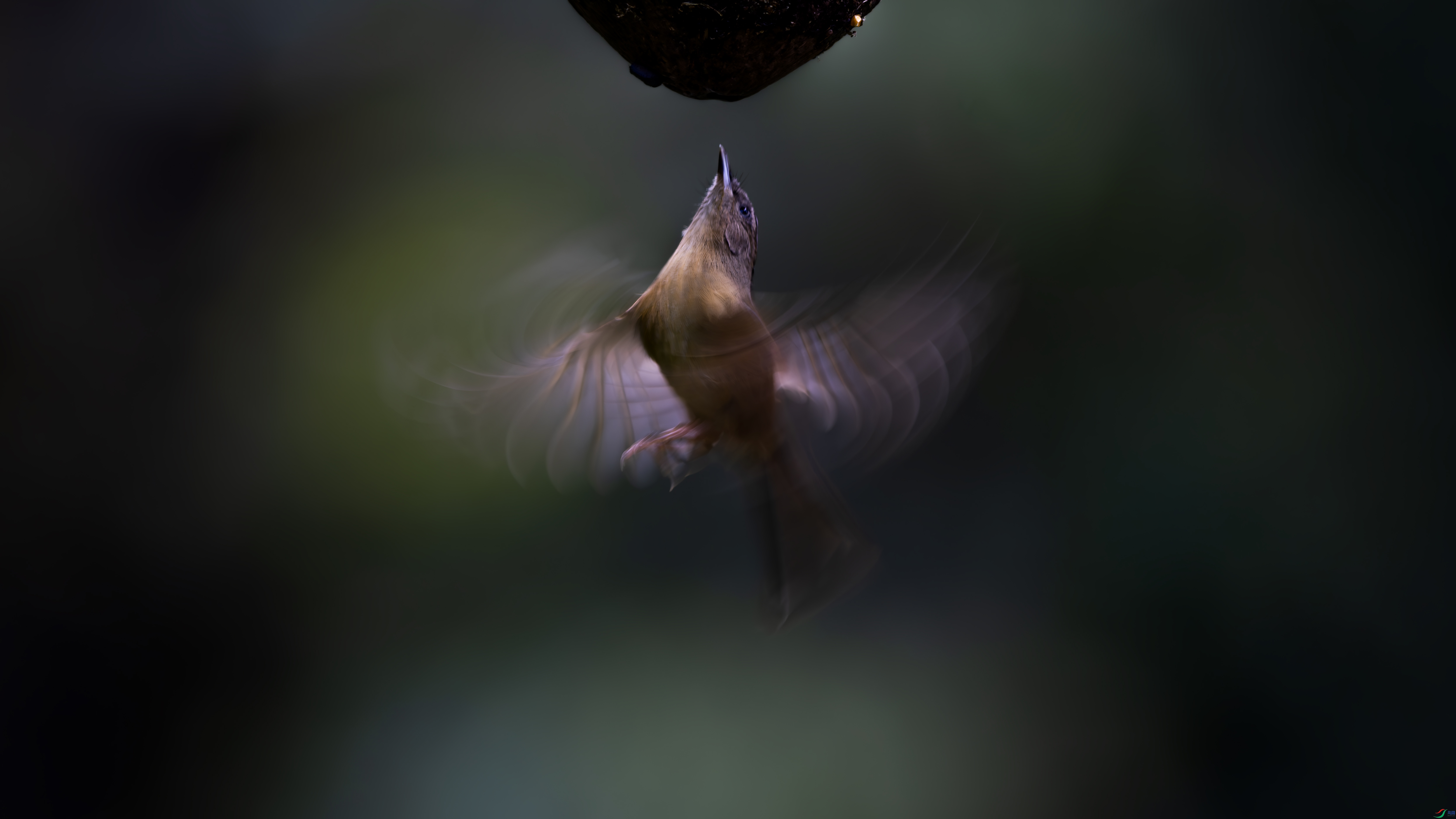 _O7A0985-����ǿ-NR ����.jpg