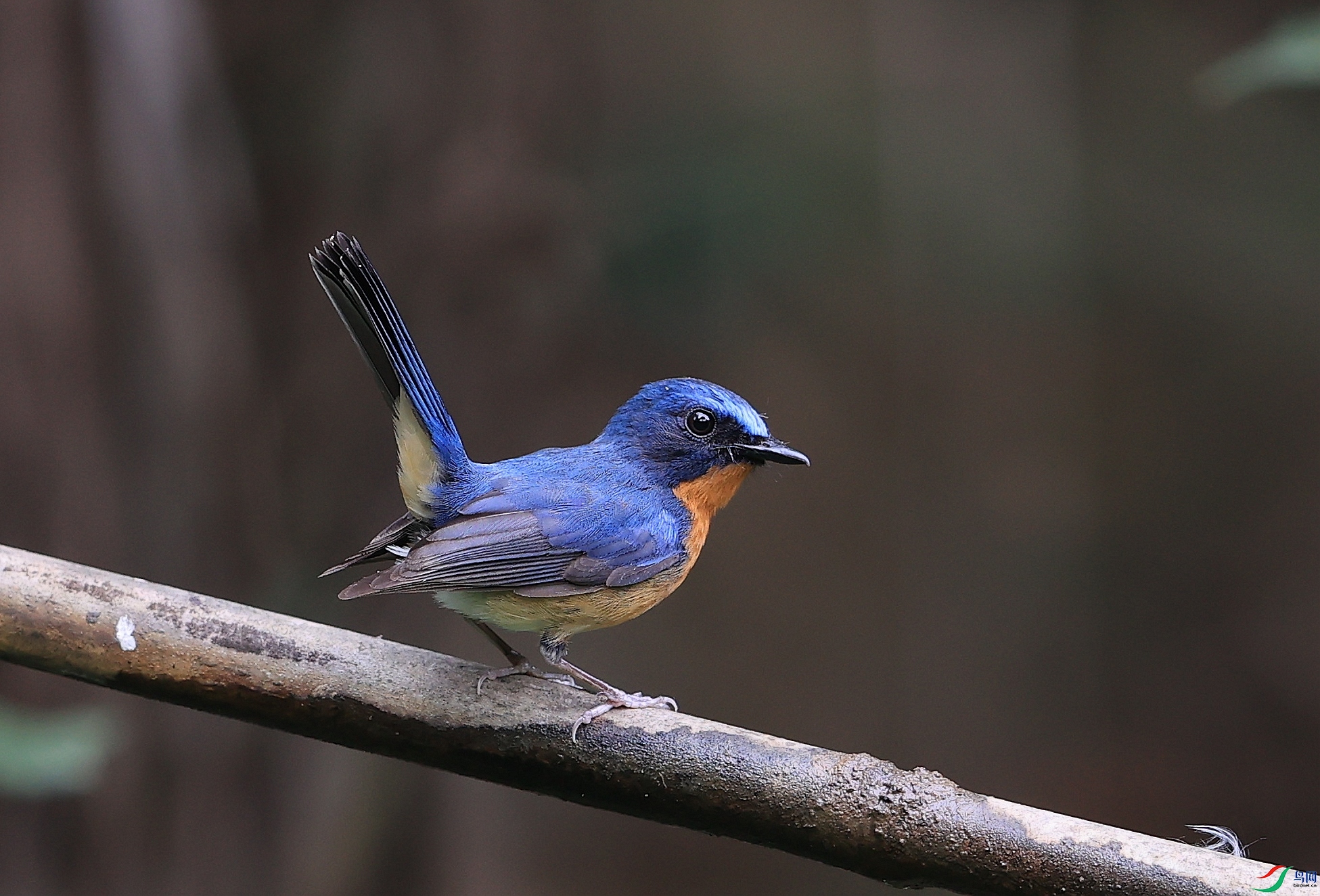 AK1I0559�� ��1.JPG