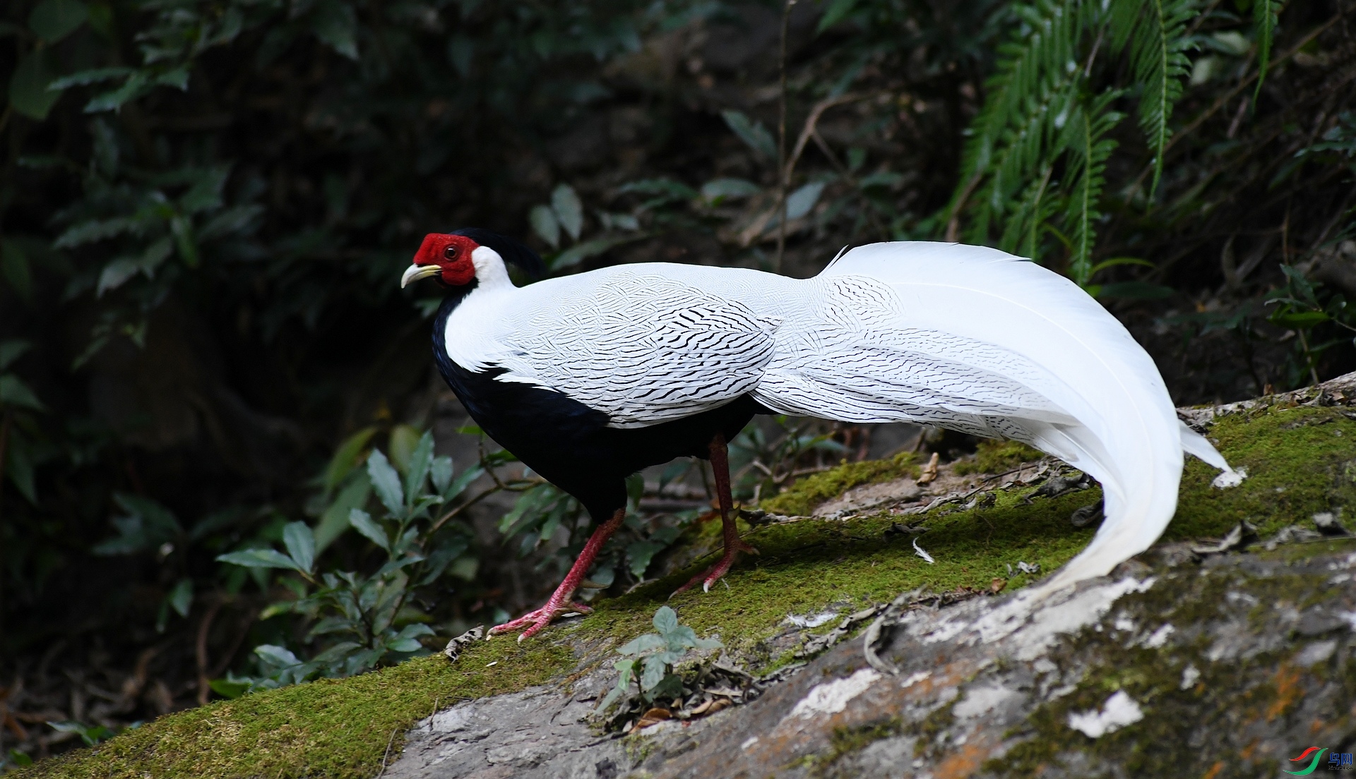 DSC_2455.jpg