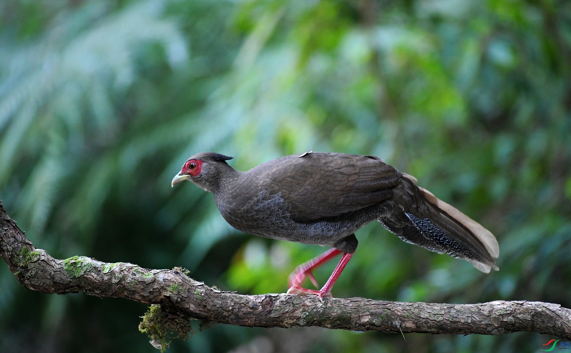 DSC_2483.jpg