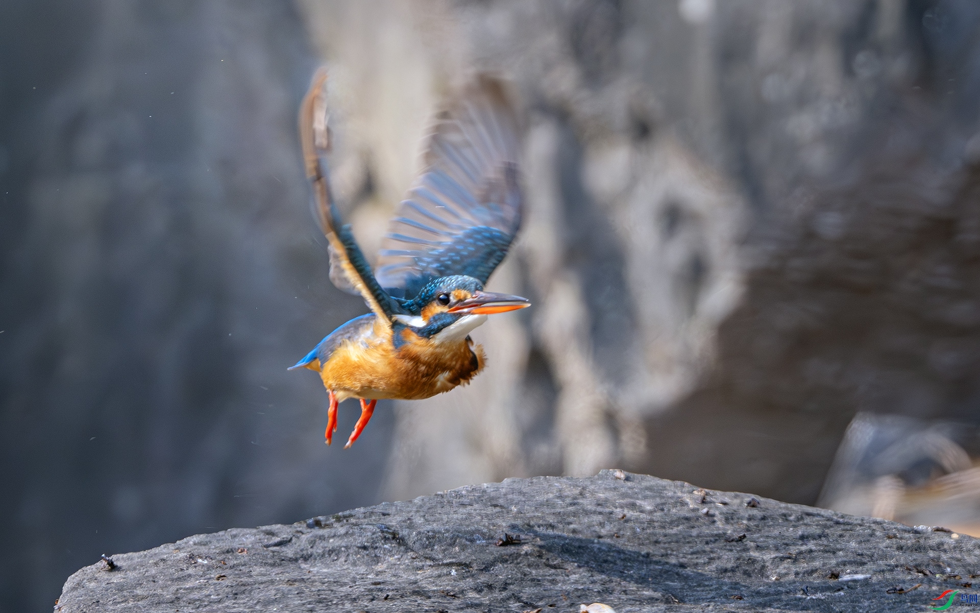 DSC_8958-����ǿ-NR-1 ����.jpg