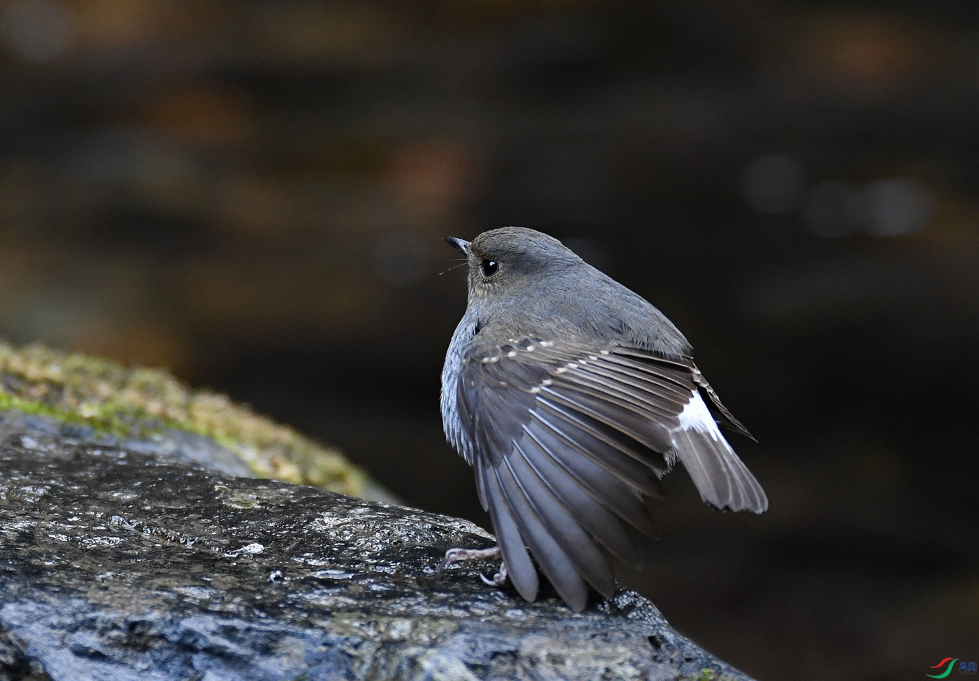 DSC_5073.jpg