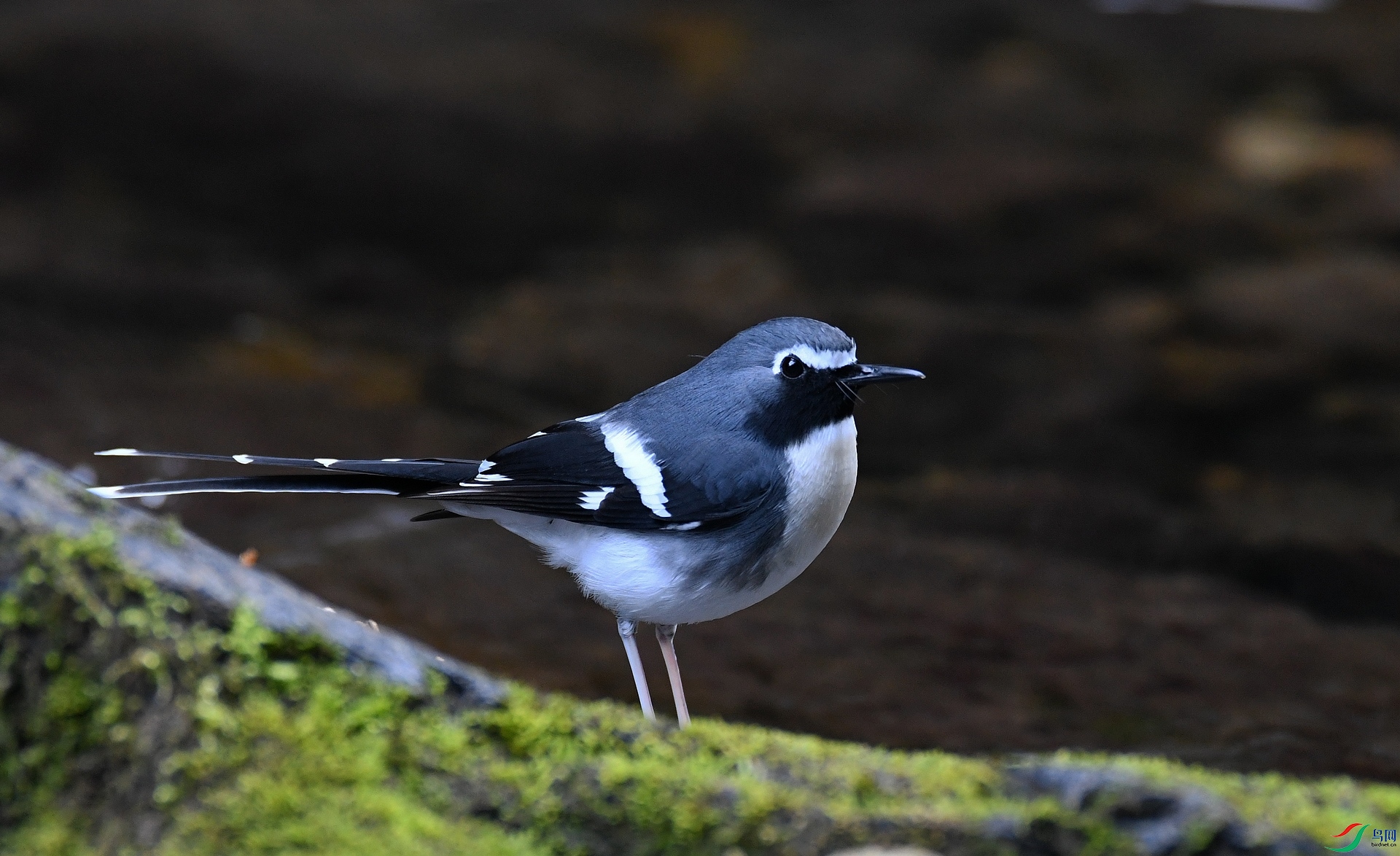 DSC_5012.jpg