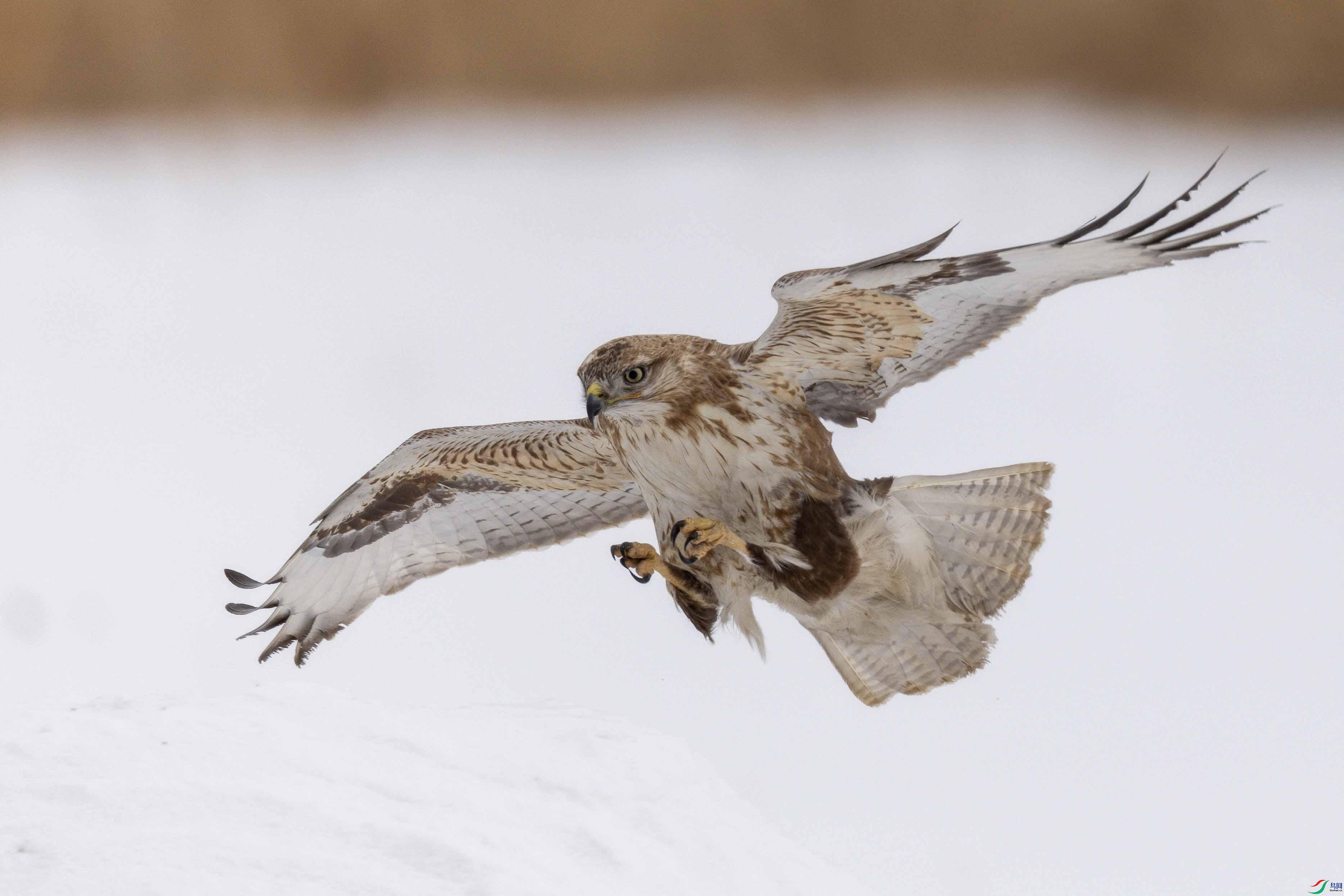 107A0707 ����.jpg