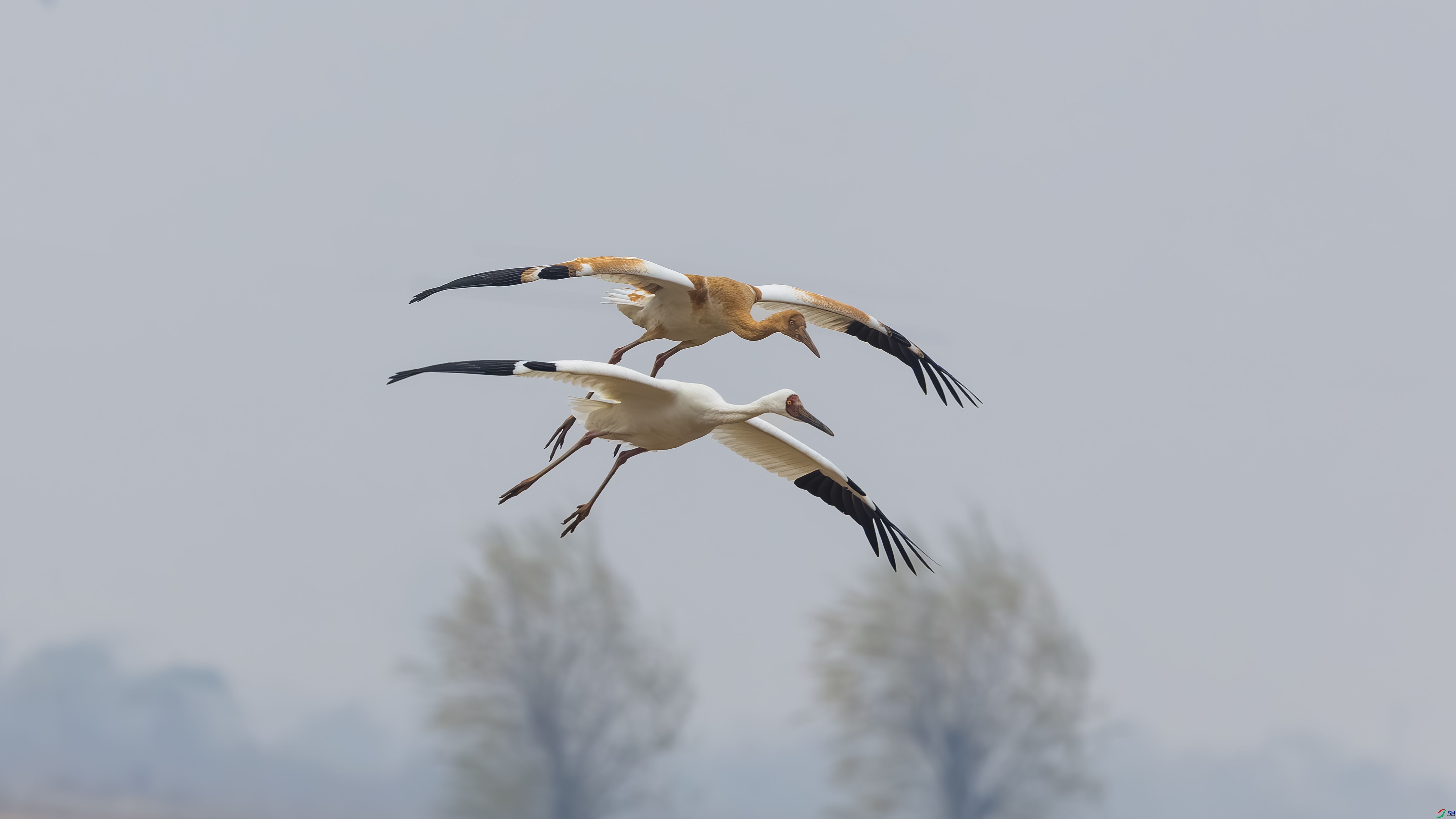 _O7A8003-����ǿ-NR ����.jpg