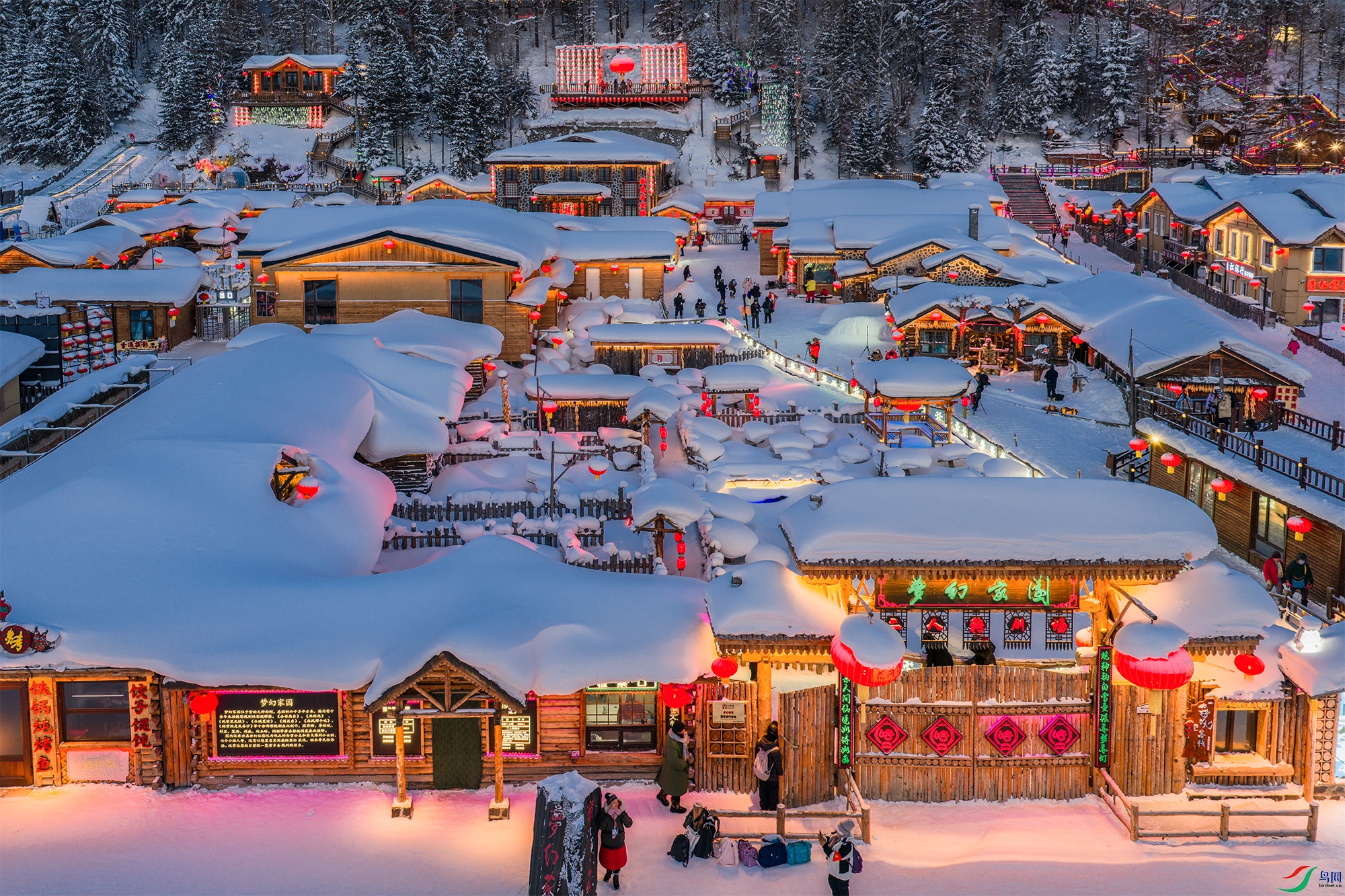 DJI_20260117064818_0761_D-3-1.jpg