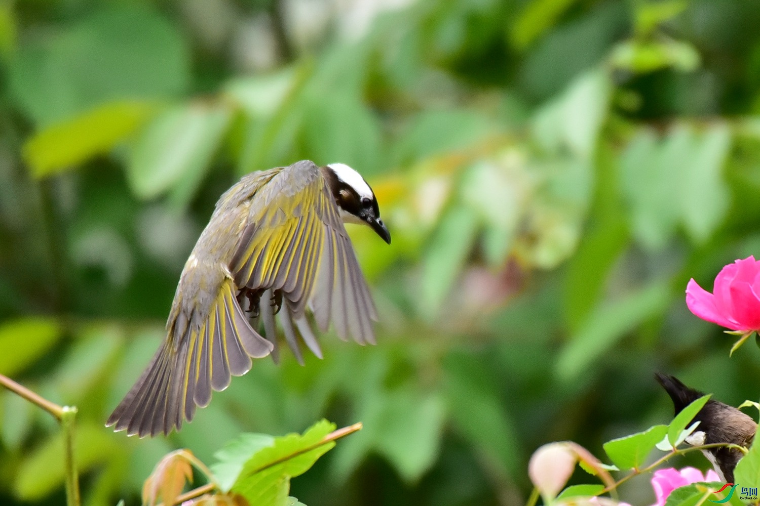 DSC_3170.JPG