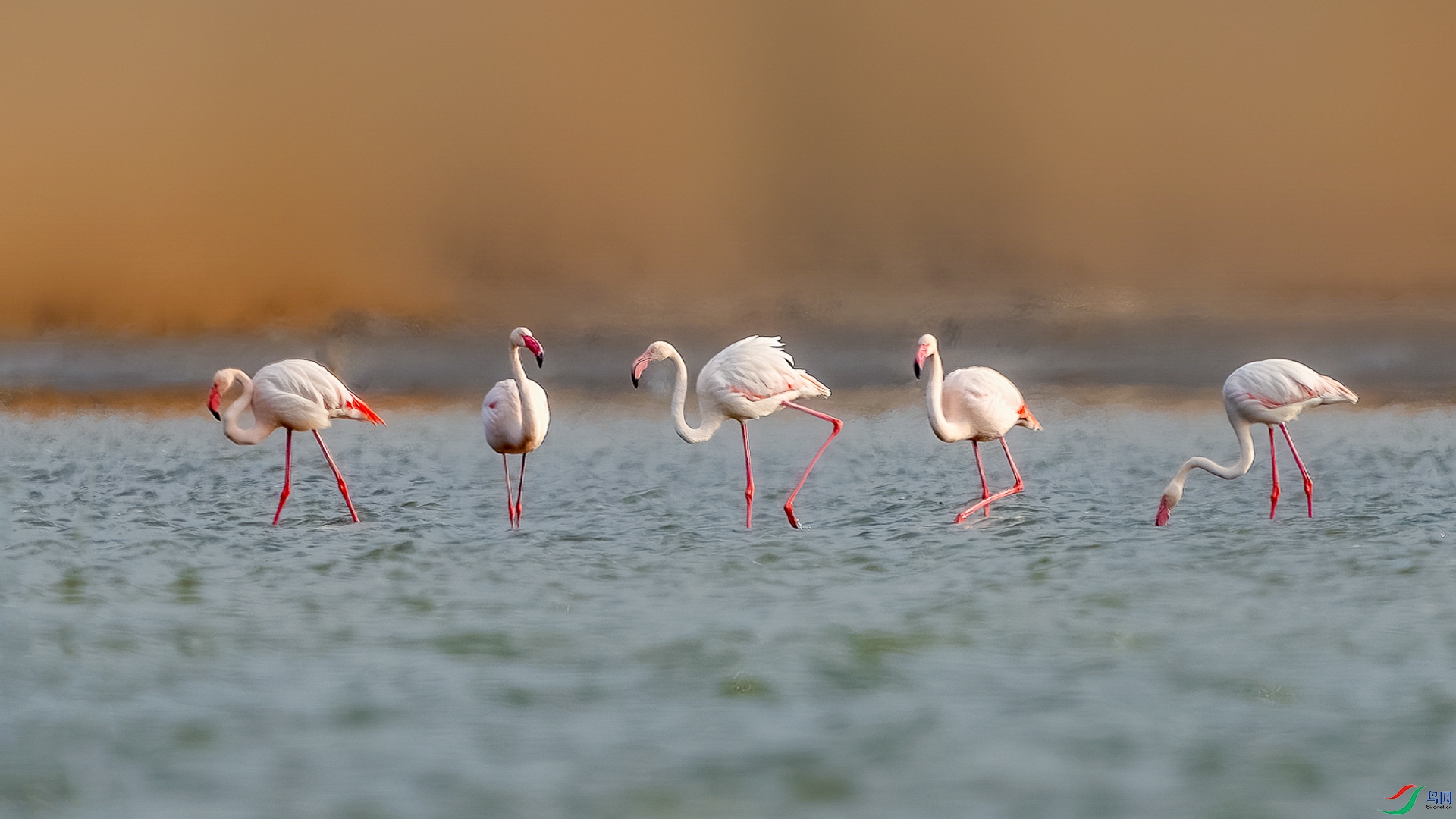 _DSC0583-����ǿ-NR ����_2_1.jpg