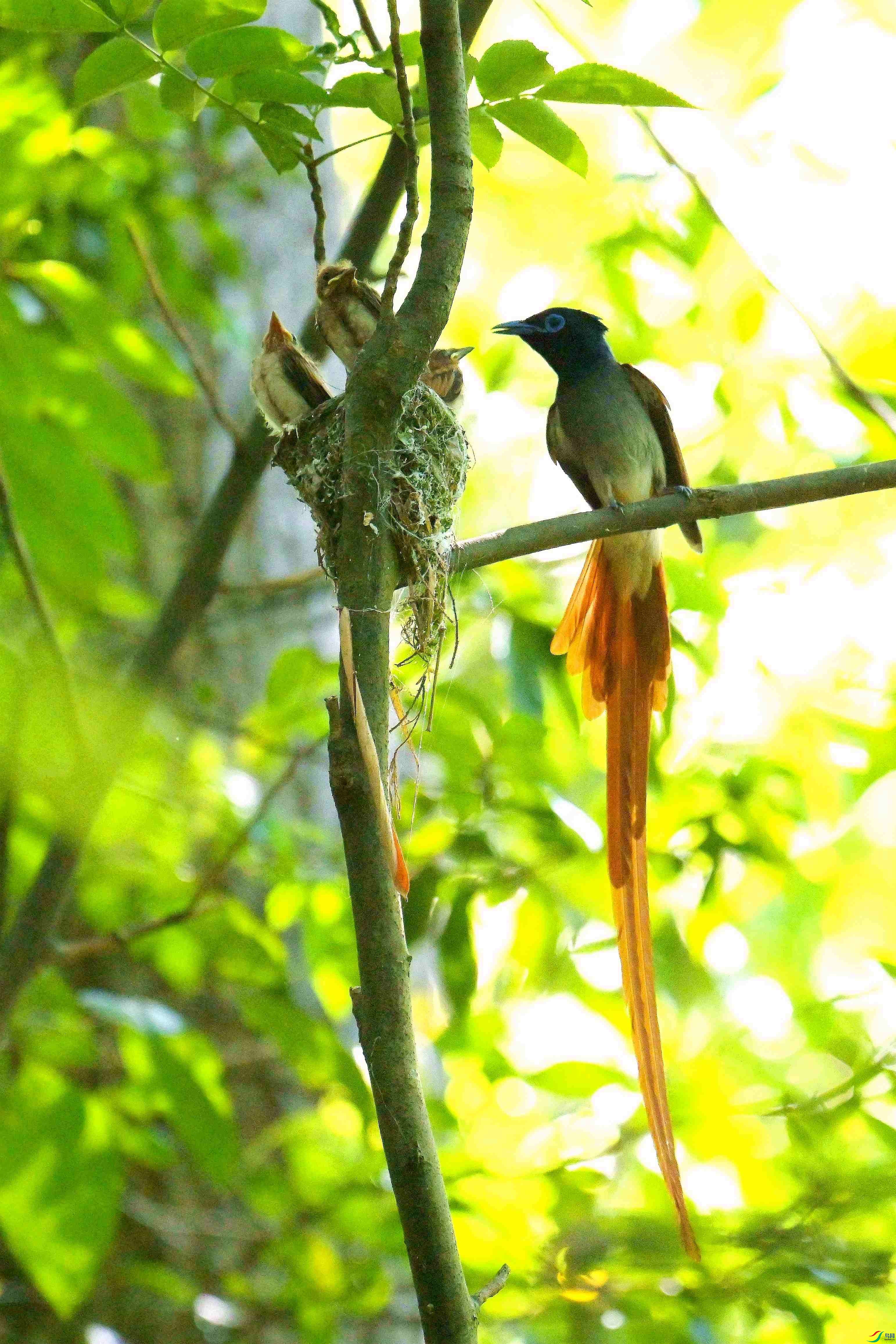 DSC_6316.jpg