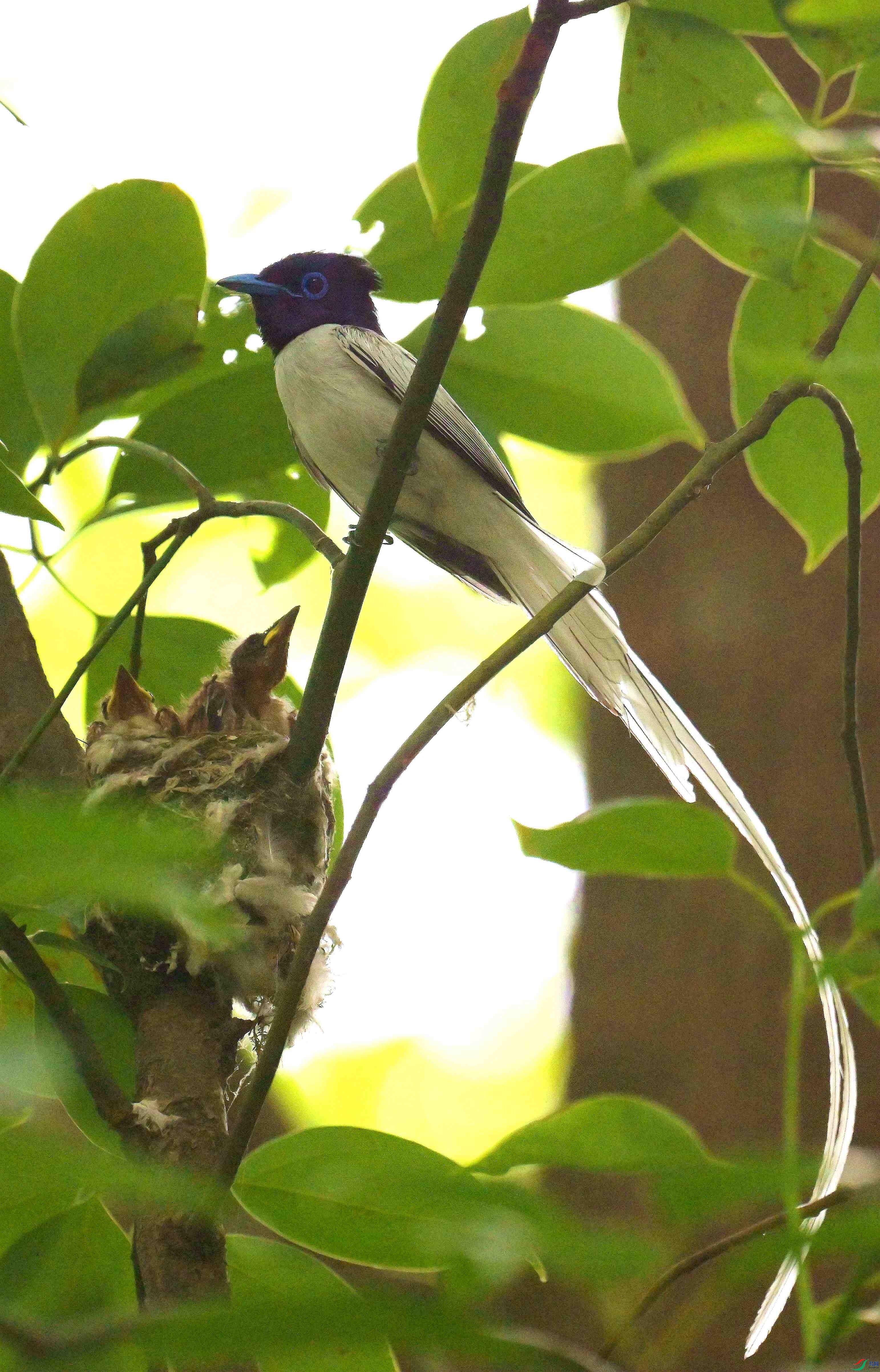 DSC_8971.jpg
