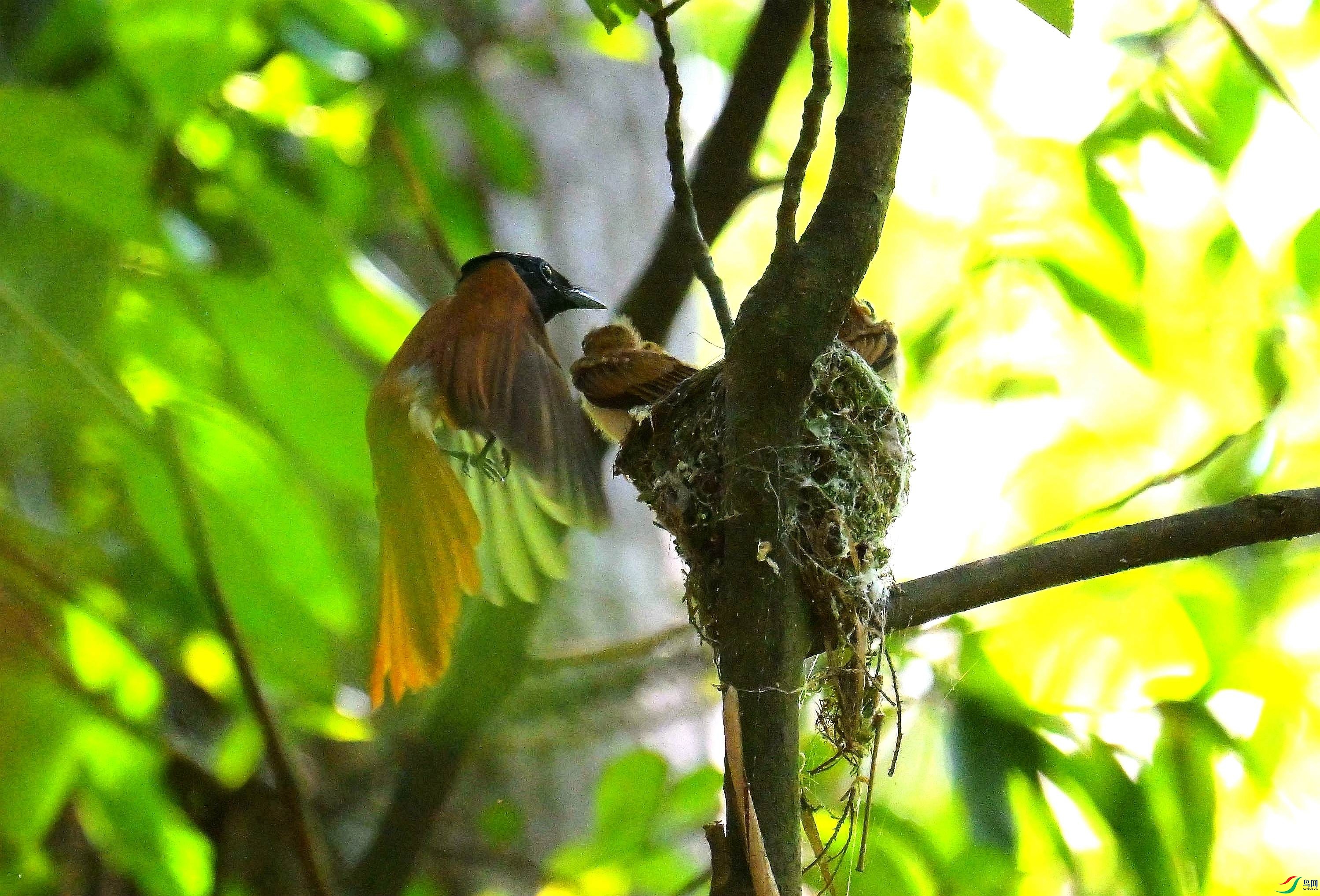 DSC_6506.jpg