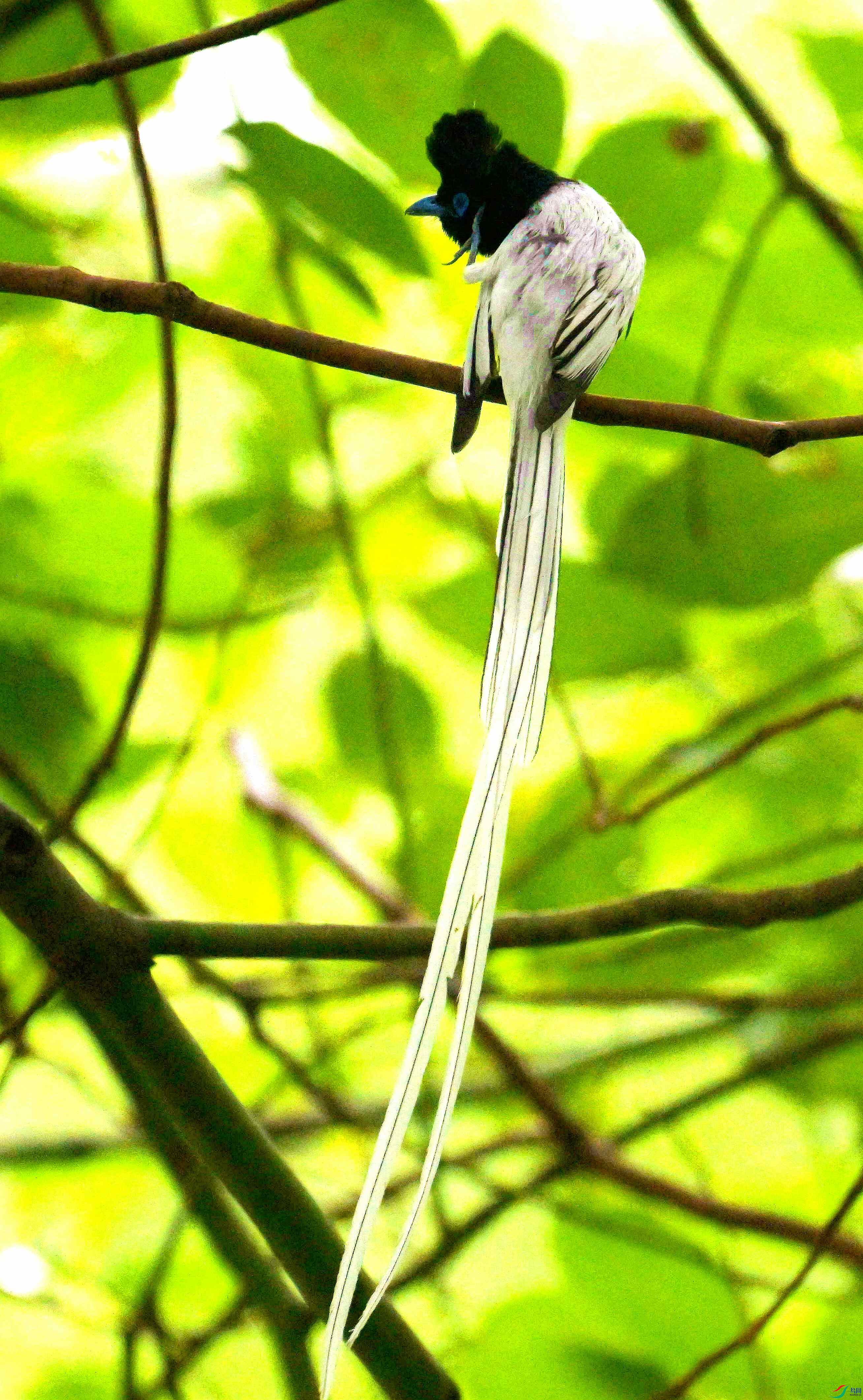 DSC_9131.jpg