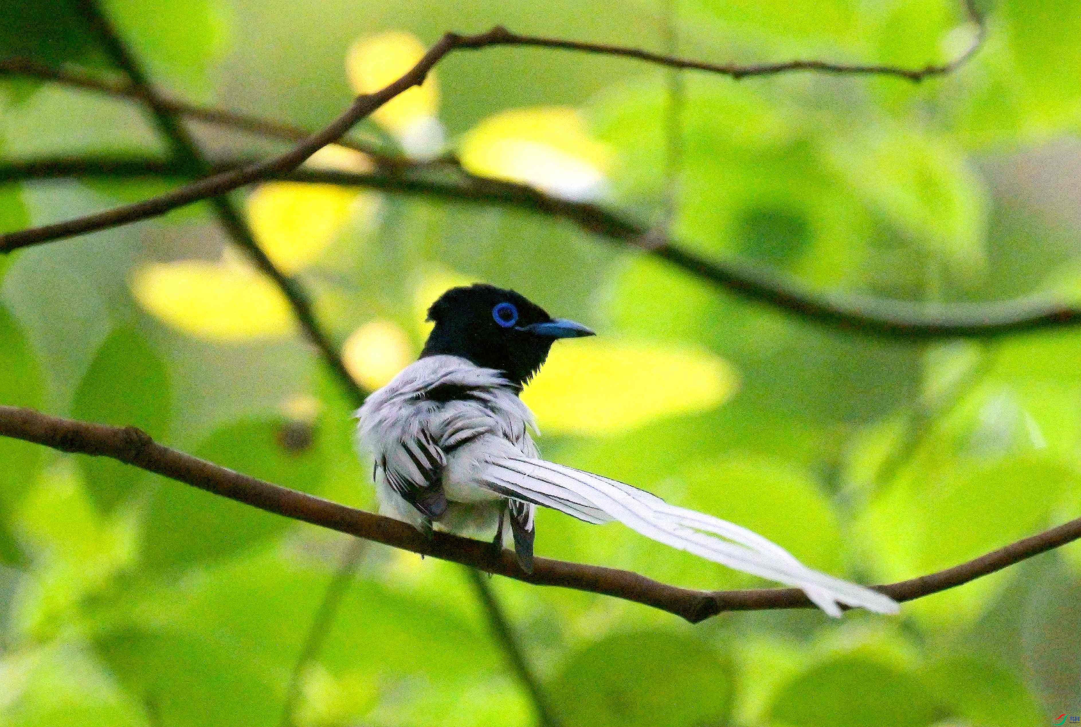DSC_9187.jpg
