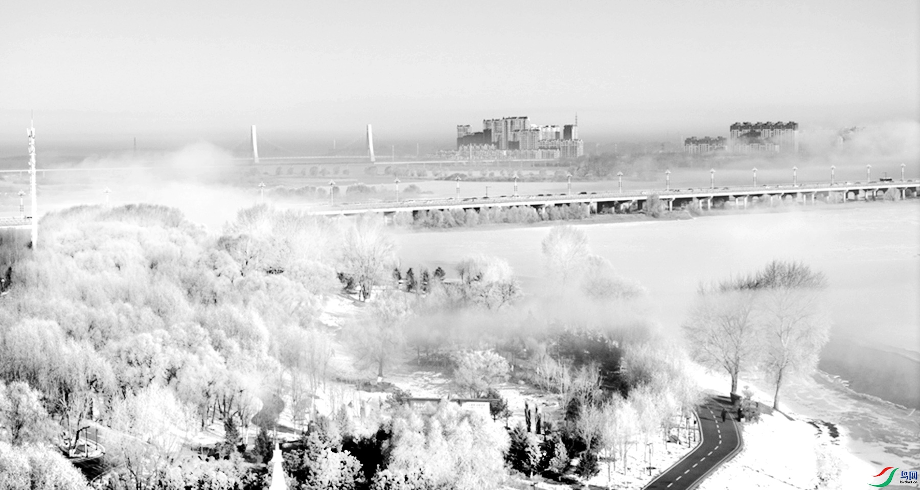 DJI_20250221205635_0771_D_����_����_����.jpg