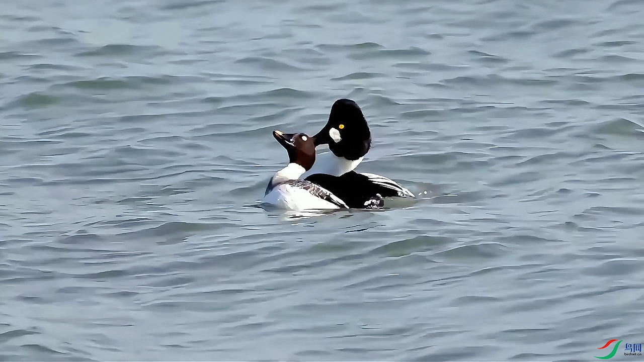 1��12�� (1)ȵѼ������괺-����.jpg